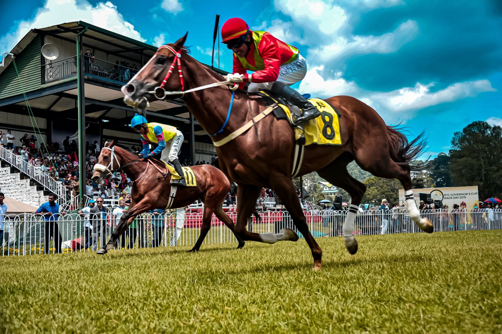 Nikon D3S sample photo. Horse, equestrian, race photography