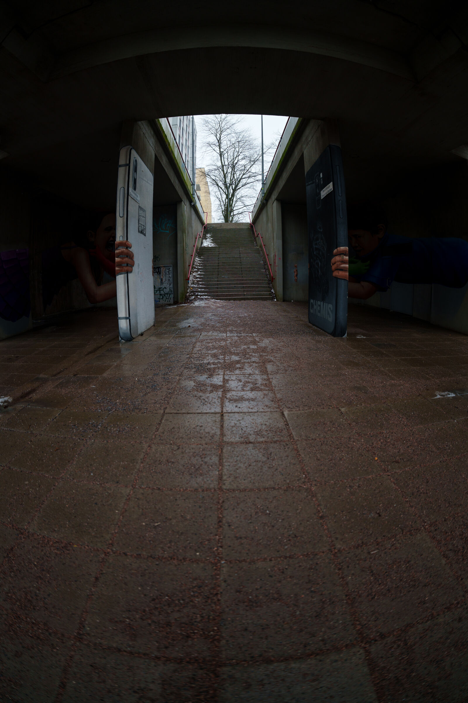 Sony a7R V sample photo. Tree at the end photography