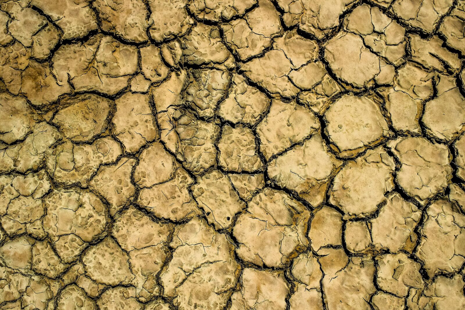 Nikon D3300 sample photo. Drought, aridity, aridness photography