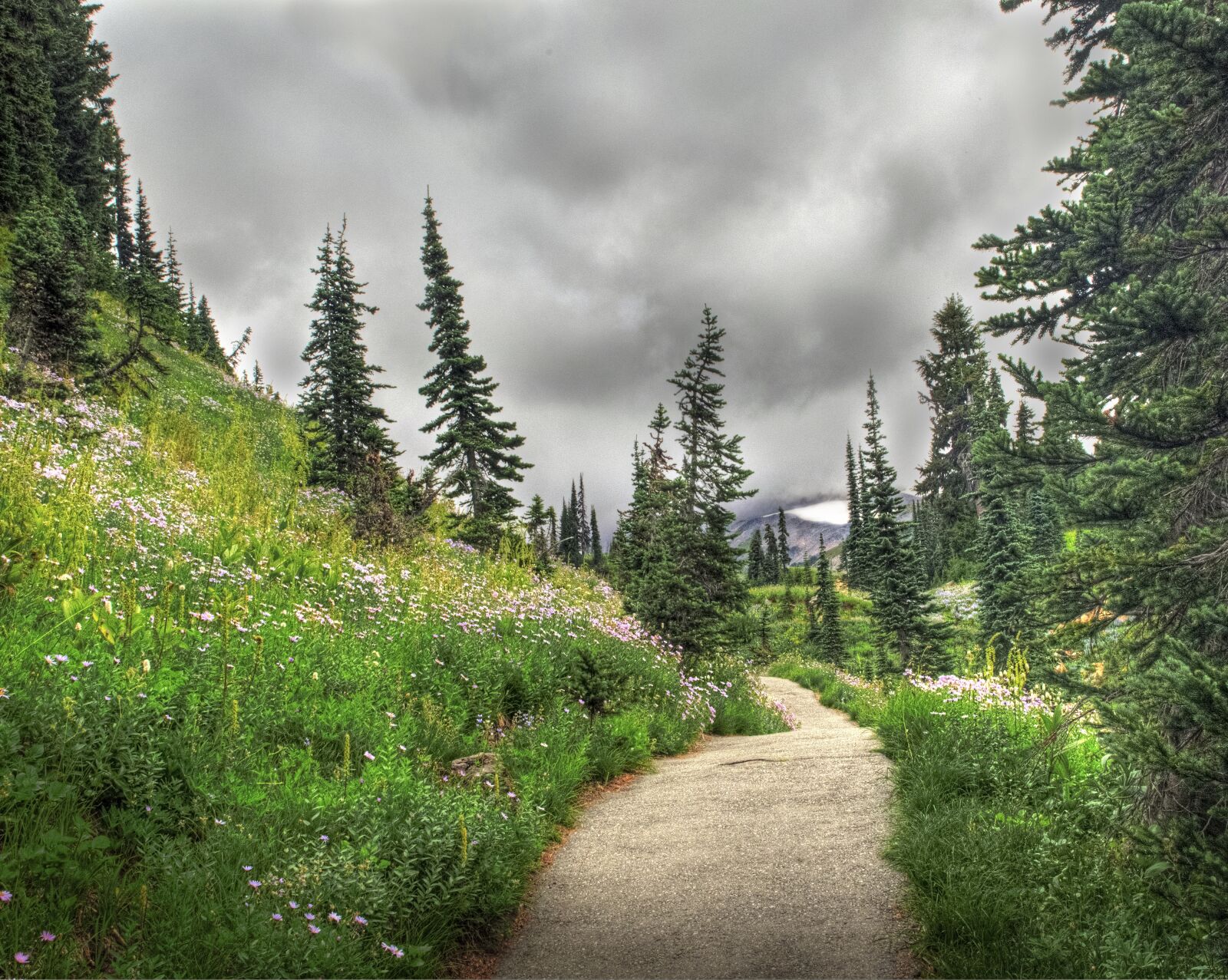 Nikon D5100 sample photo. Walking in paradise, trail photography