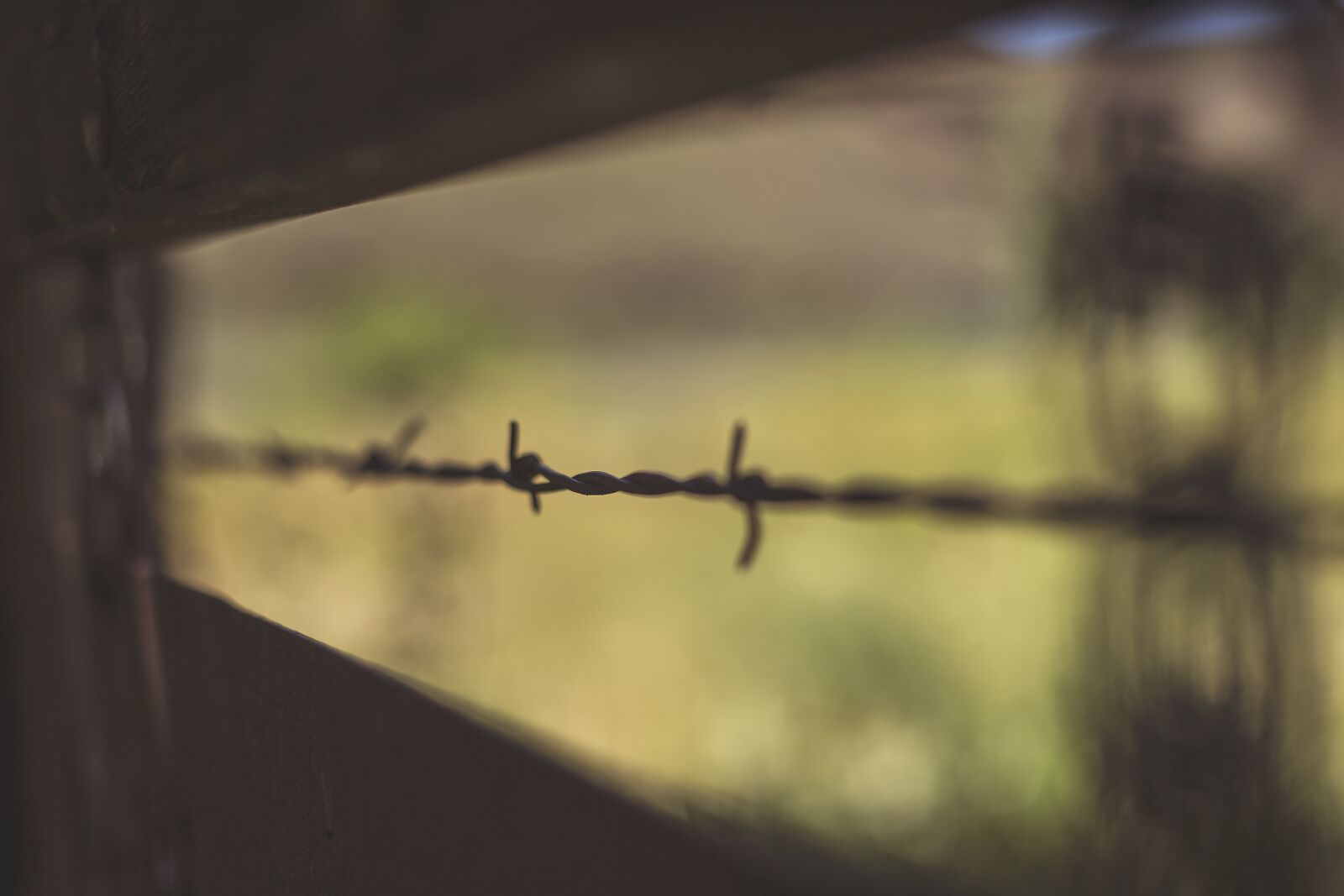 Canon EF 50mm F1.8 II sample photo. Barb wire, country, rustic photography