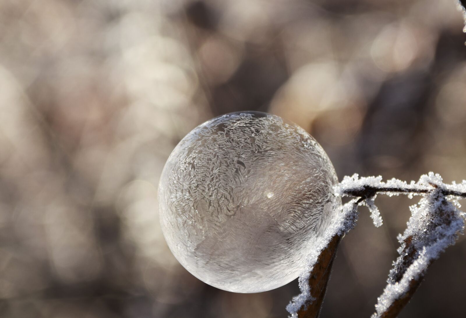 Nikon D3300 sample photo. Bubble, soap bubble, ball photography