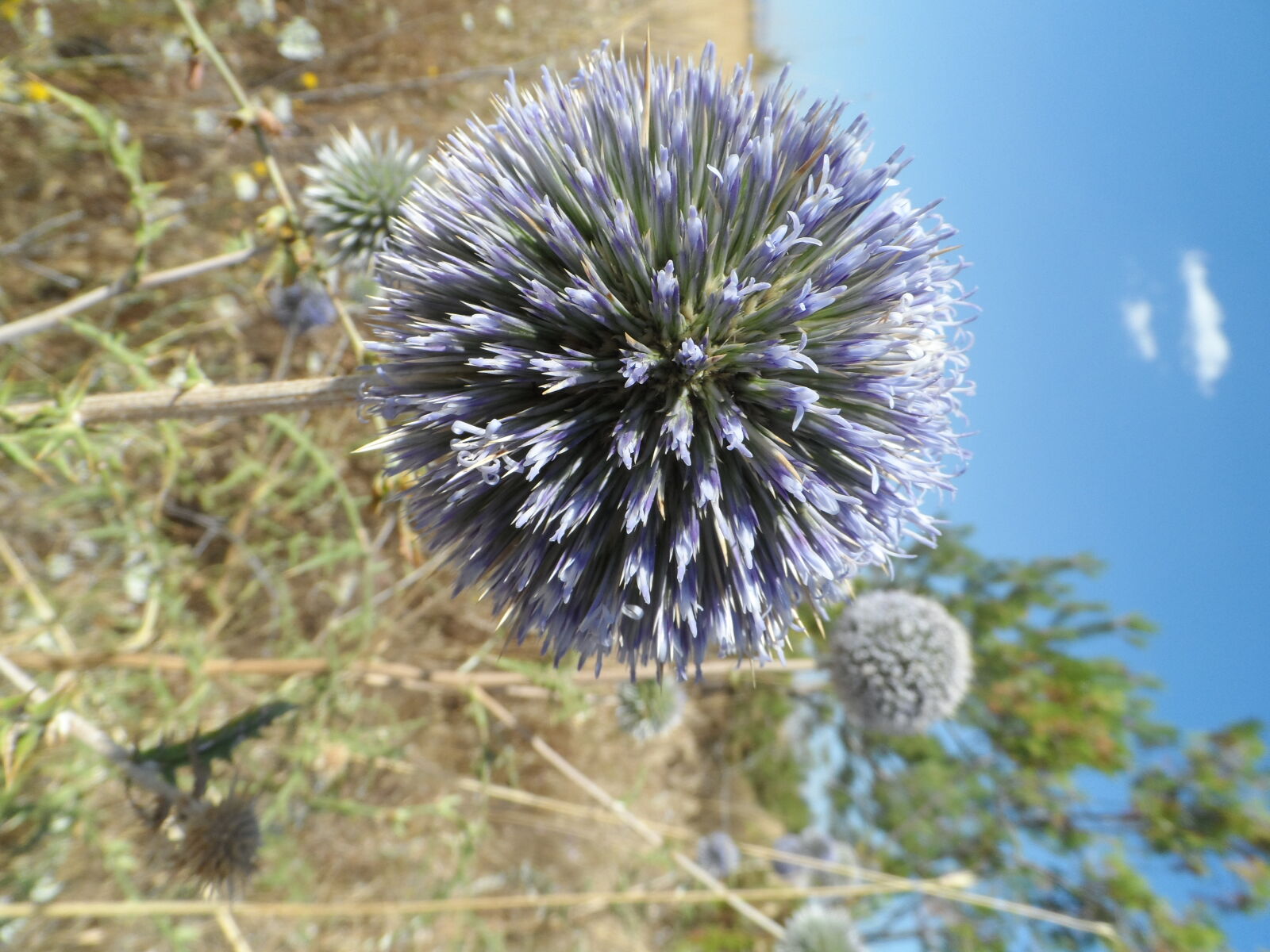 Samsung WB150 / WB150F / WB152 / WB152F / WB151 / WB151F / WB140 sample photo