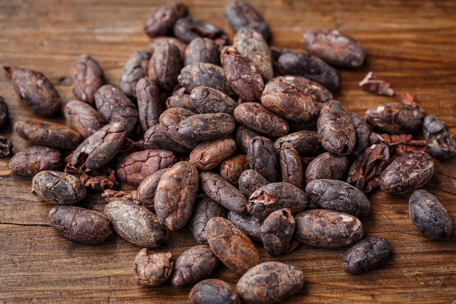 Canon EF 100mm F2.8 Macro USM sample photo. Cacao bean, cocoa bean photography