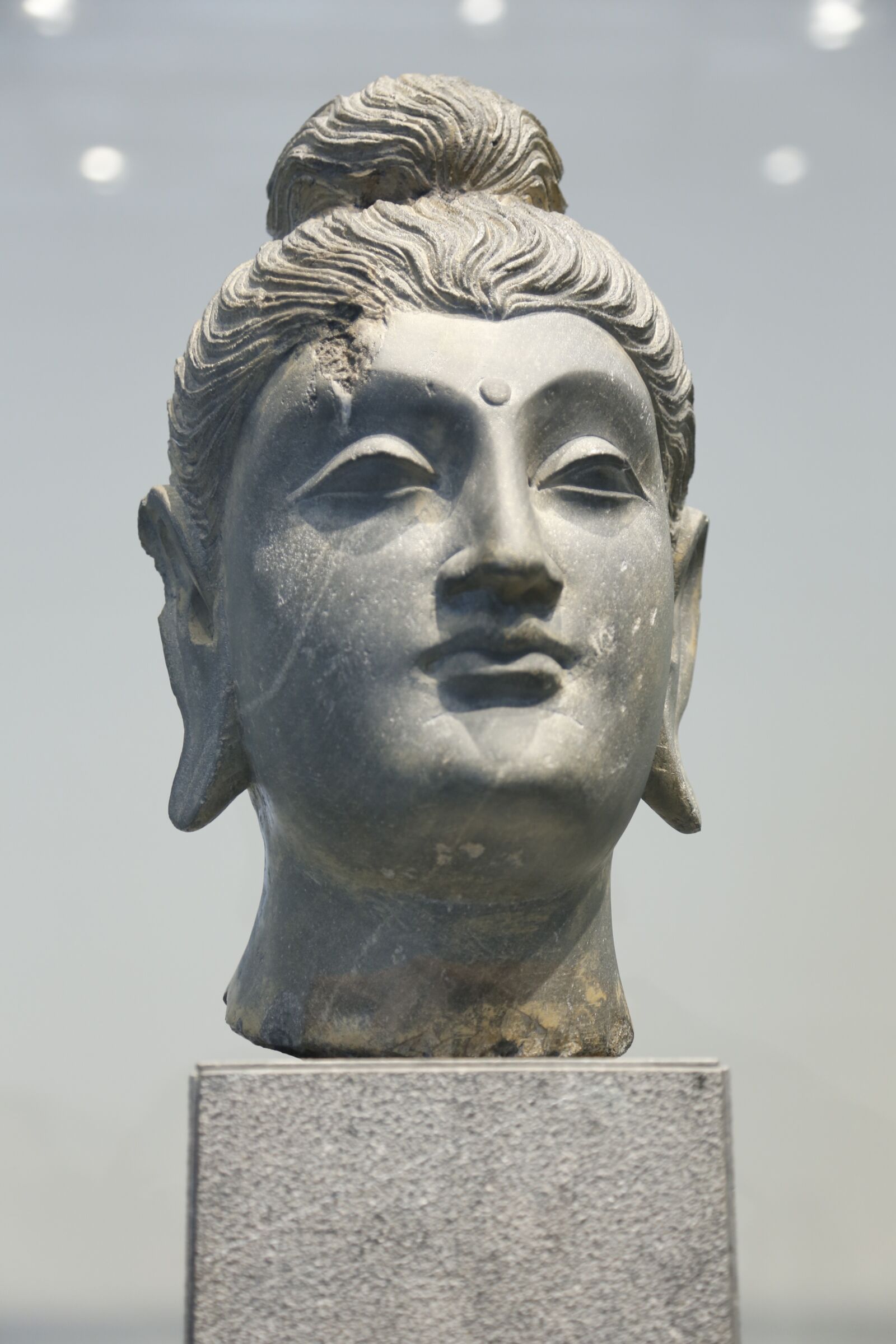 Canon EOS 6D + Canon EF 24-105mm F4L IS USM sample photo. Buddha head, gotham buddha photography