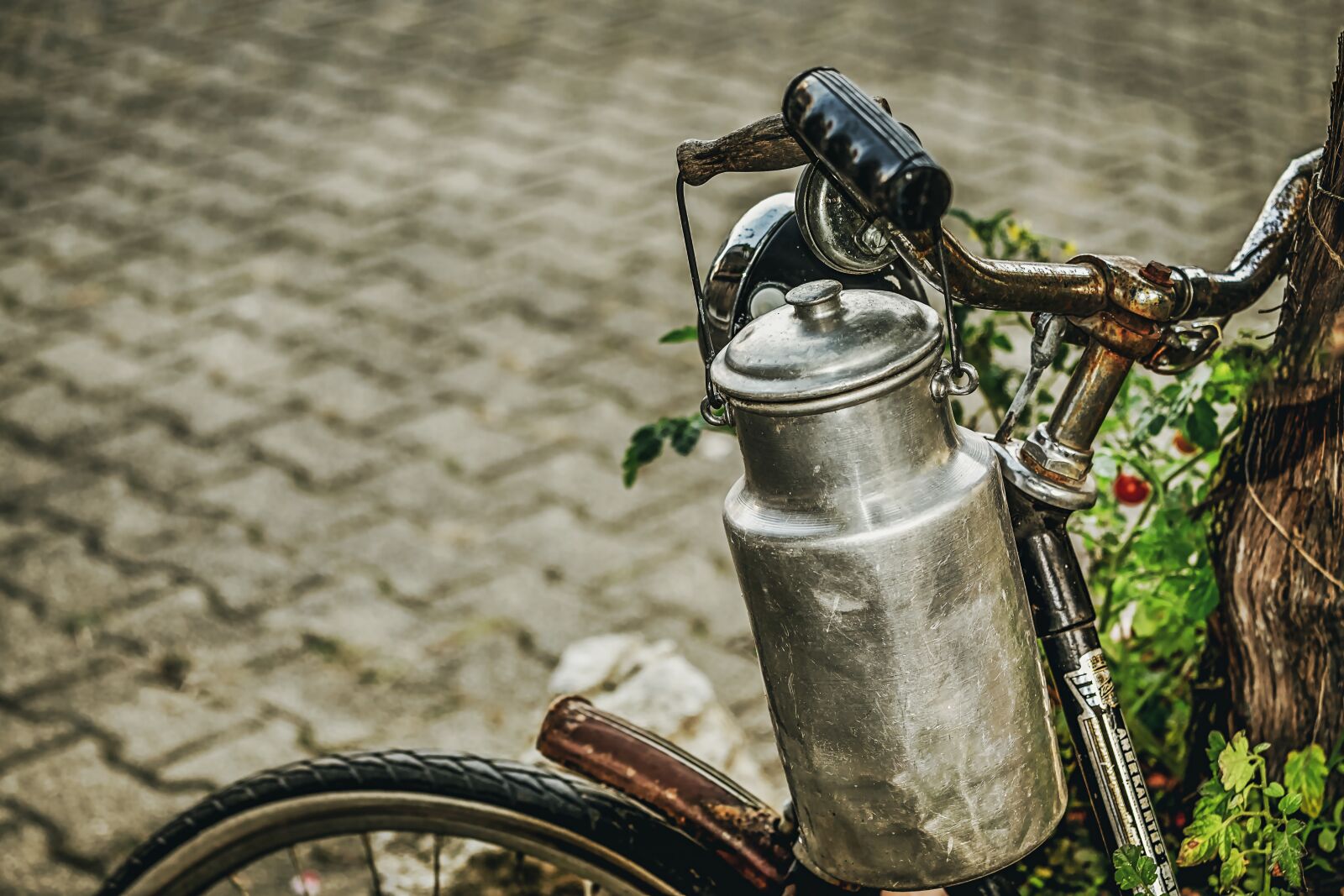 Fujifilm XF 55-200mm F3.5-4.8 R LM OIS sample photo. Milk can, old, pot photography