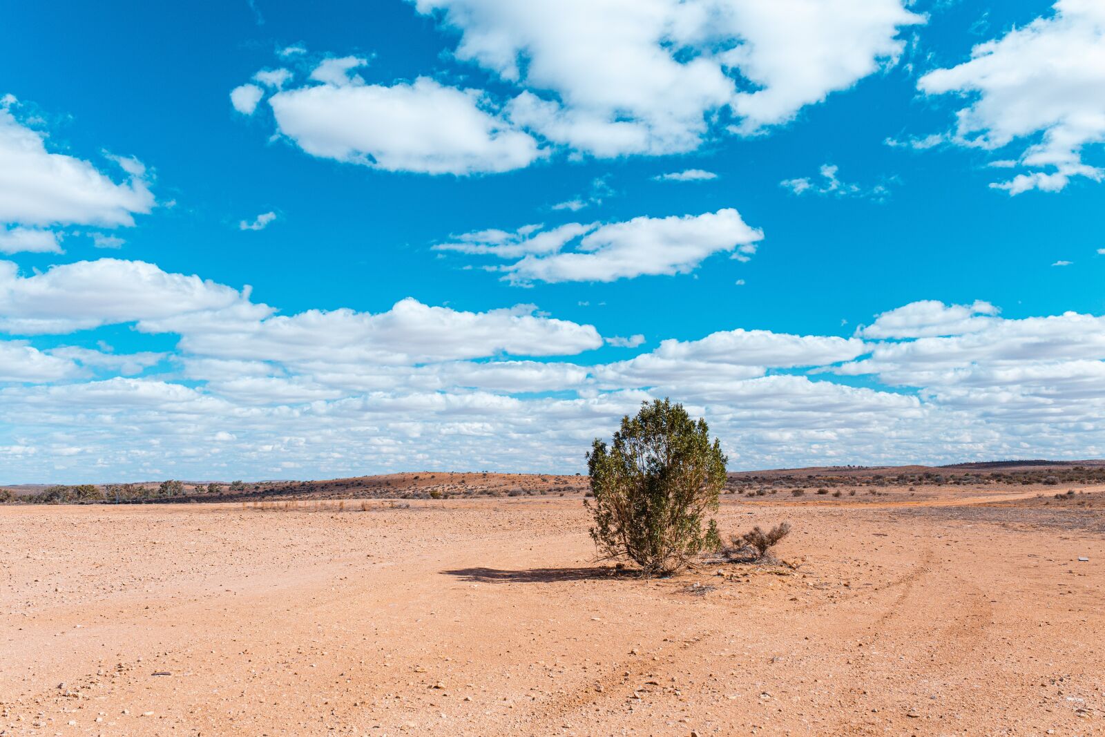 Canon EOS 6D sample photo. Queensland, australia, wild photography