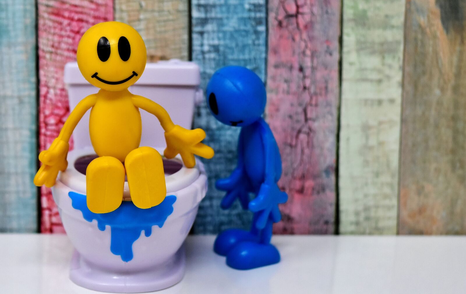 Nikon D7200 sample photo. Toilet, smiley, figure photography