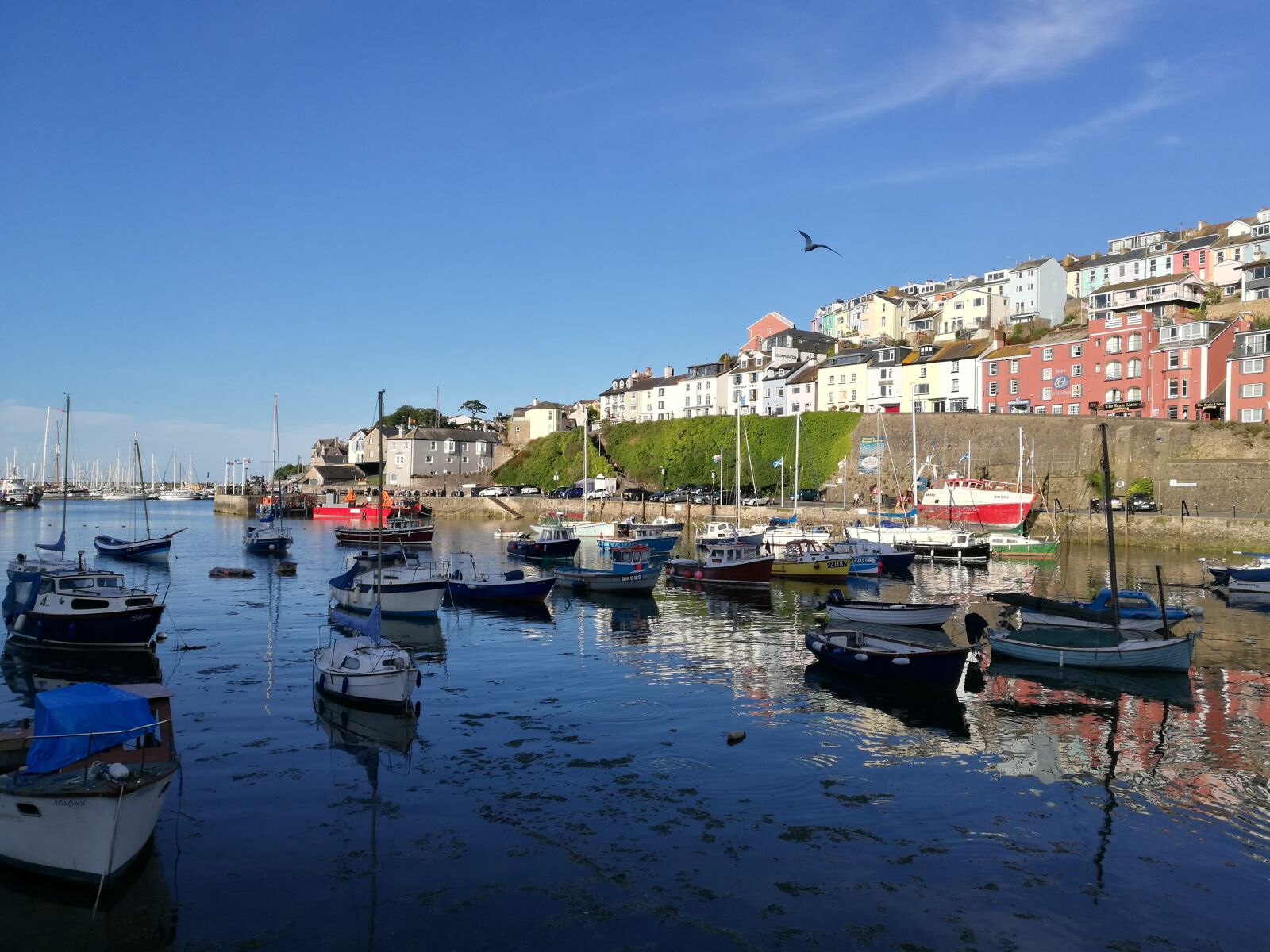 HUAWEI P9 sample photo. Brixham, harbour, devon photography