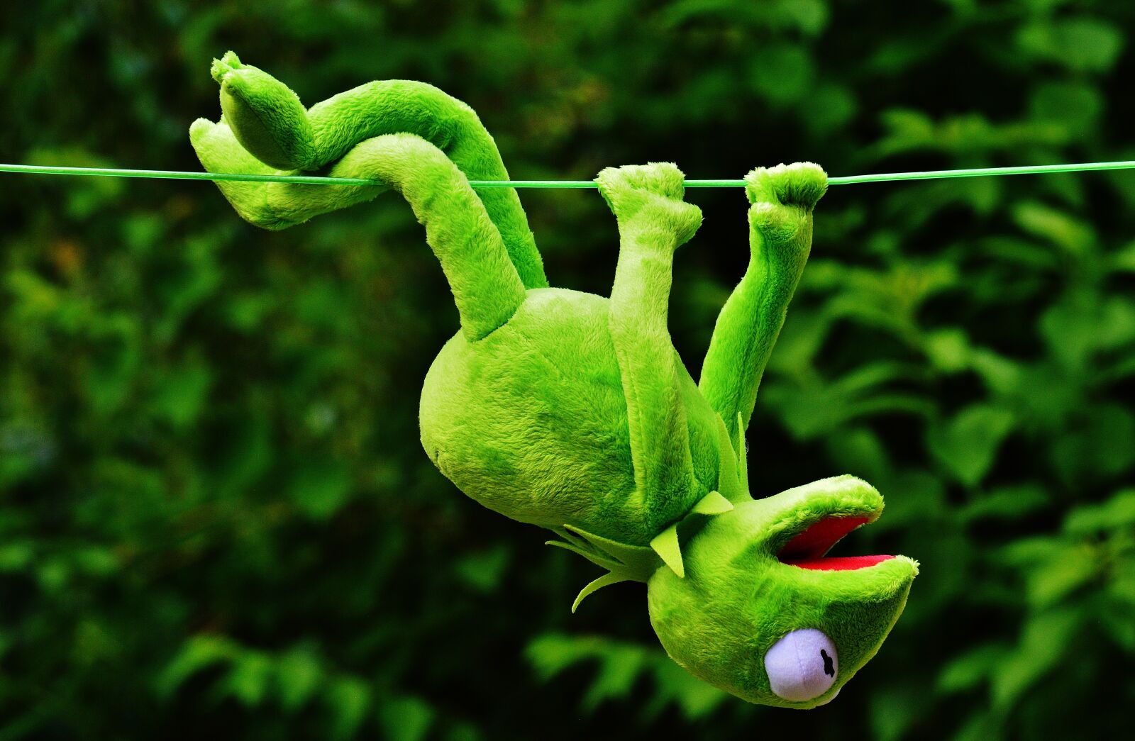 Nikon D3200 sample photo. Hang out, soft toy photography