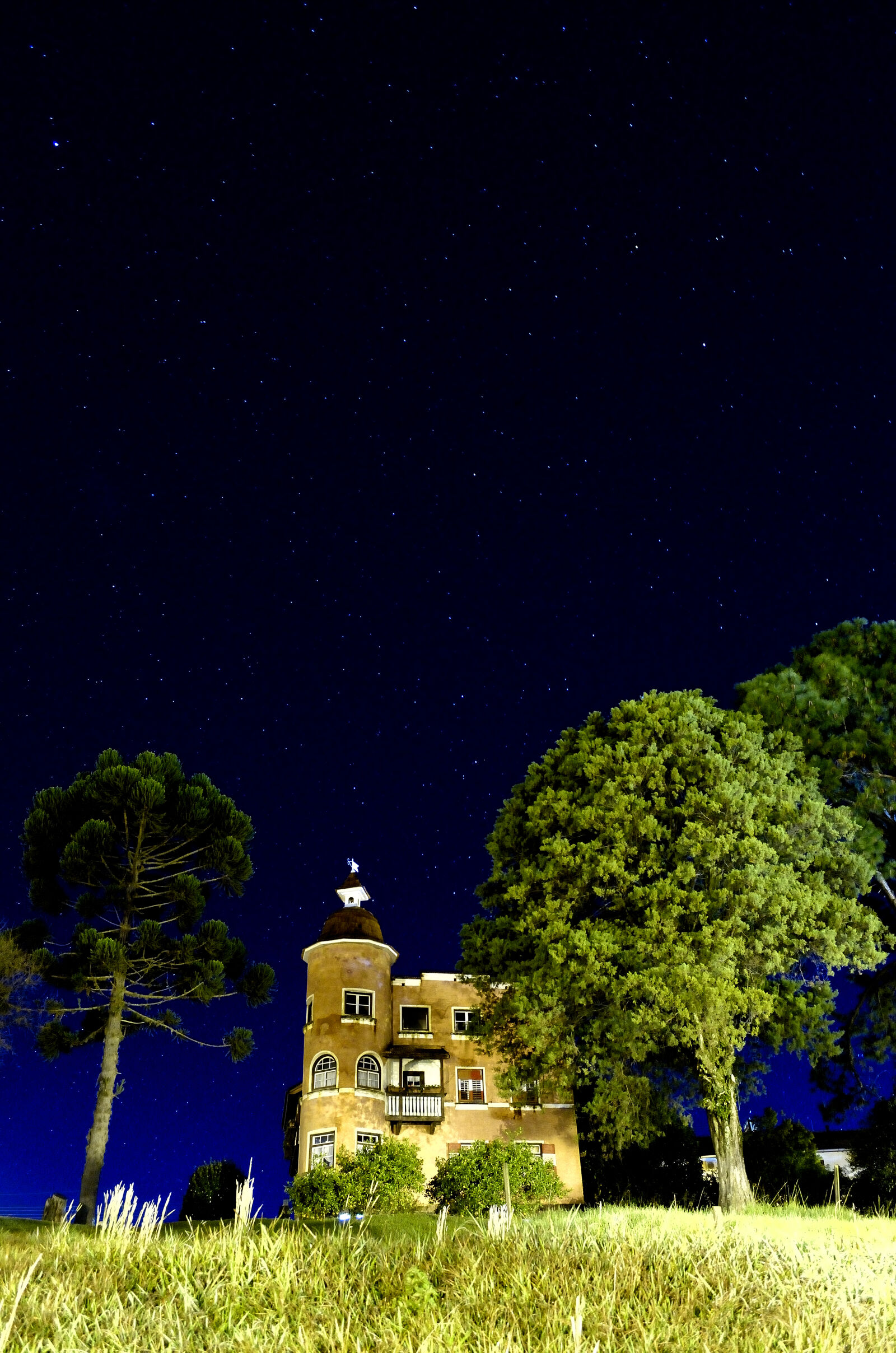 Nikon D5100 sample photo