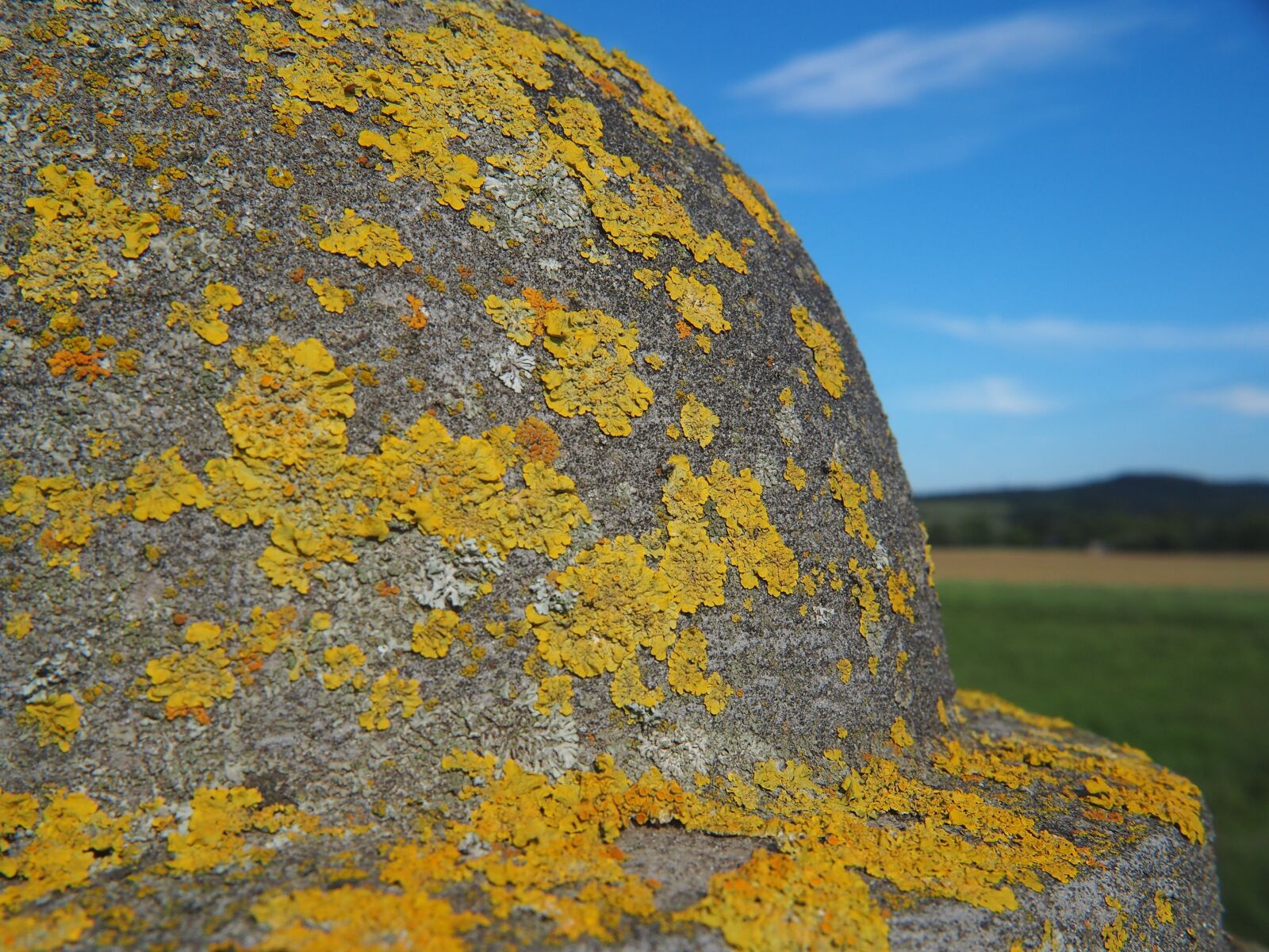 Olympus OM-D E-M10 sample photo. Stone, moss, nature photography