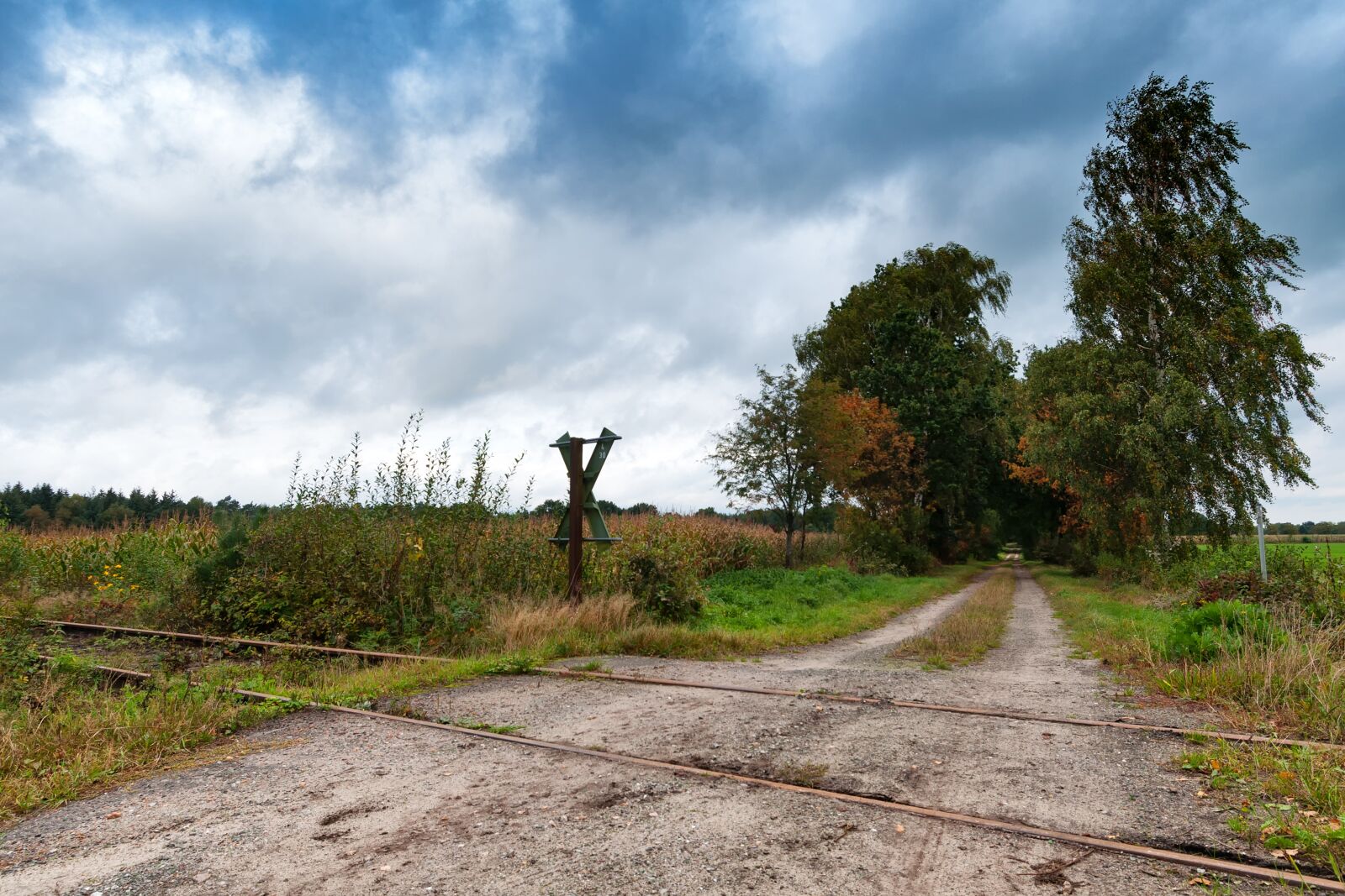 Nikon D90 sample photo. Disused, gleise, rails photography