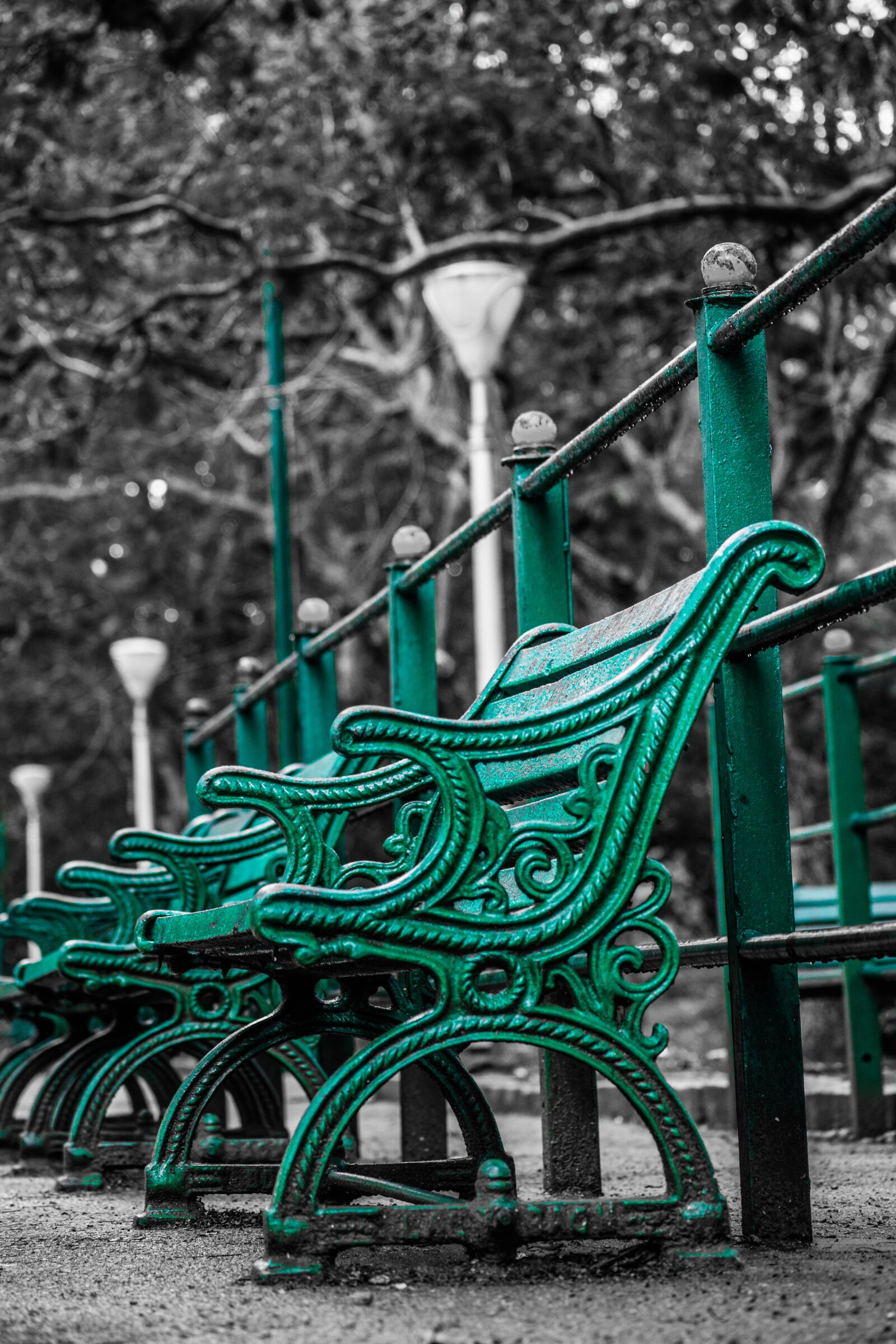 Nikon D3300 sample photo. Chair, park, fun photography