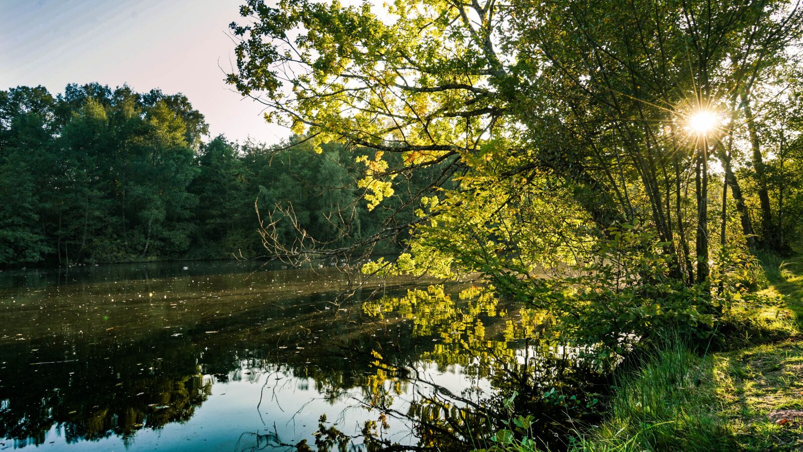 Sony a7 II + Sony Vario Tessar T* FE 24-70mm F4 ZA OSS sample photo. Nature, abendstimmung, lake photography