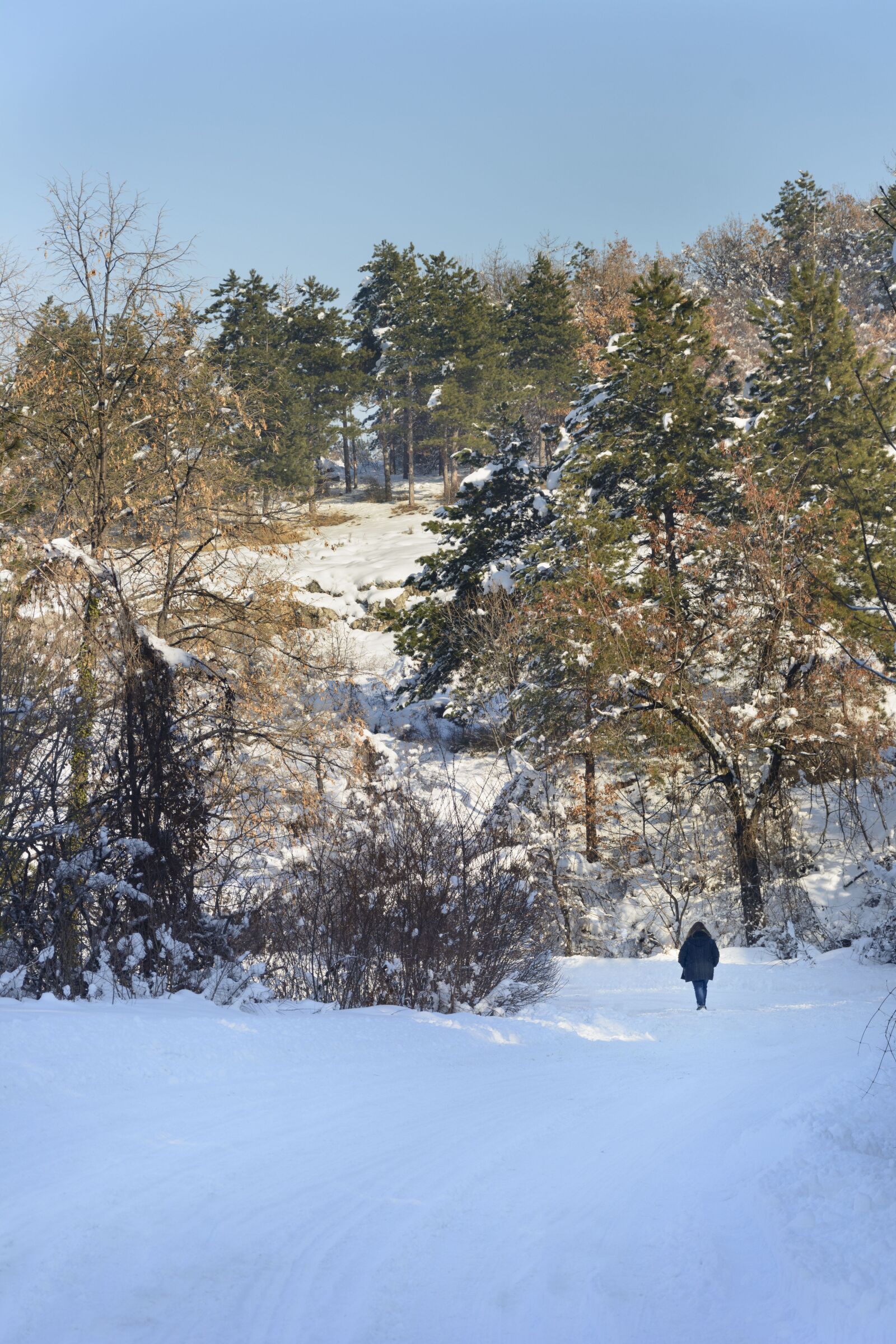Nikon D7100 sample photo. Girl, snow, way photography