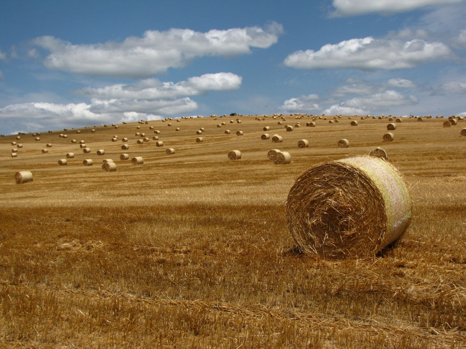 Canon PowerShot SX10 IS sample photo. Straw, bale, meadow photography