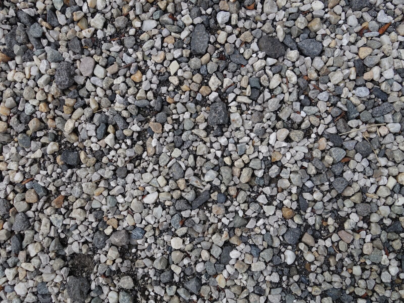 Sony Cyber-shot DSC-RX100 II sample photo. Pebble, stones, pebbles photography