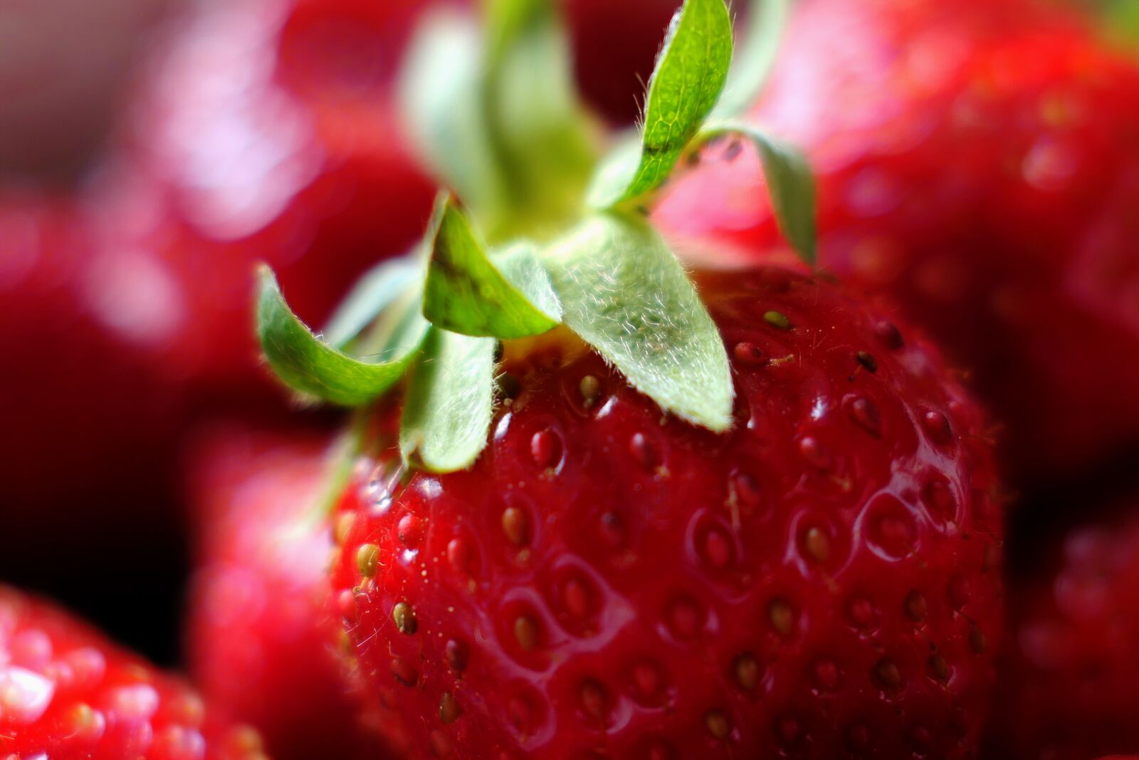 Panasonic Lumix DMC-LX10 (Lumix DMC-LX15) sample photo. Fruit, strawberry, berry photography