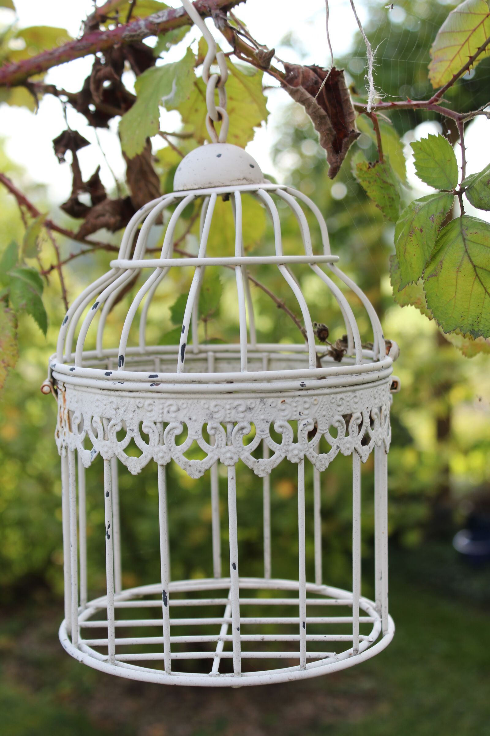 Canon EOS 1200D (EOS Rebel T5 / EOS Kiss X70 / EOS Hi) sample photo. Cage, tree, garden photography