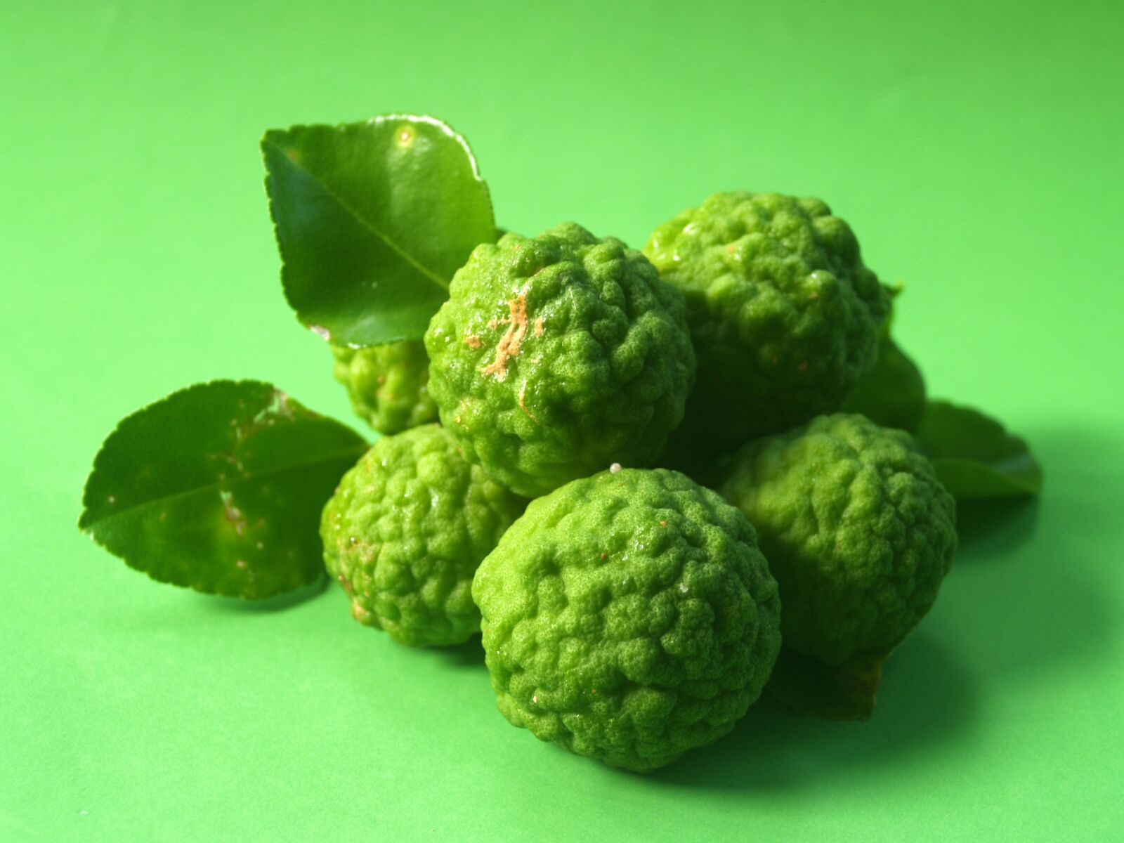 Olympus E-300 (EVOLT E-300) sample photo. Bergamot, fruit, leaf photography