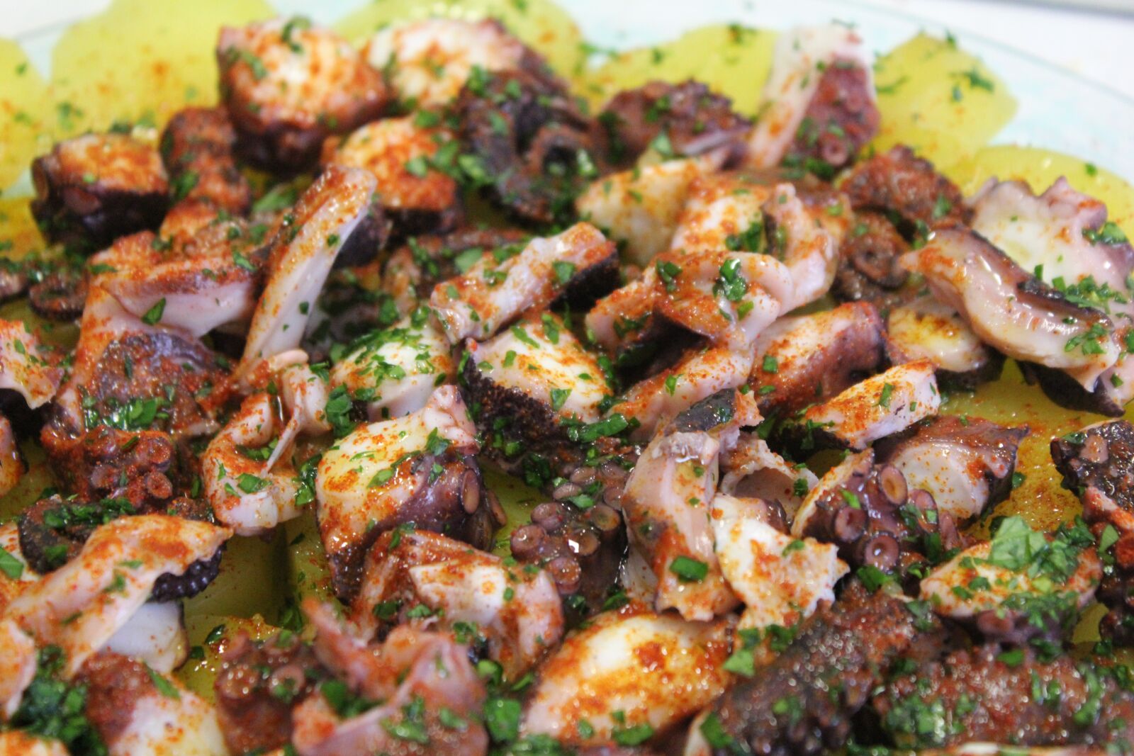 Canon EOS 550D (EOS Rebel T2i / EOS Kiss X4) sample photo. Pulpo a la gallega photography