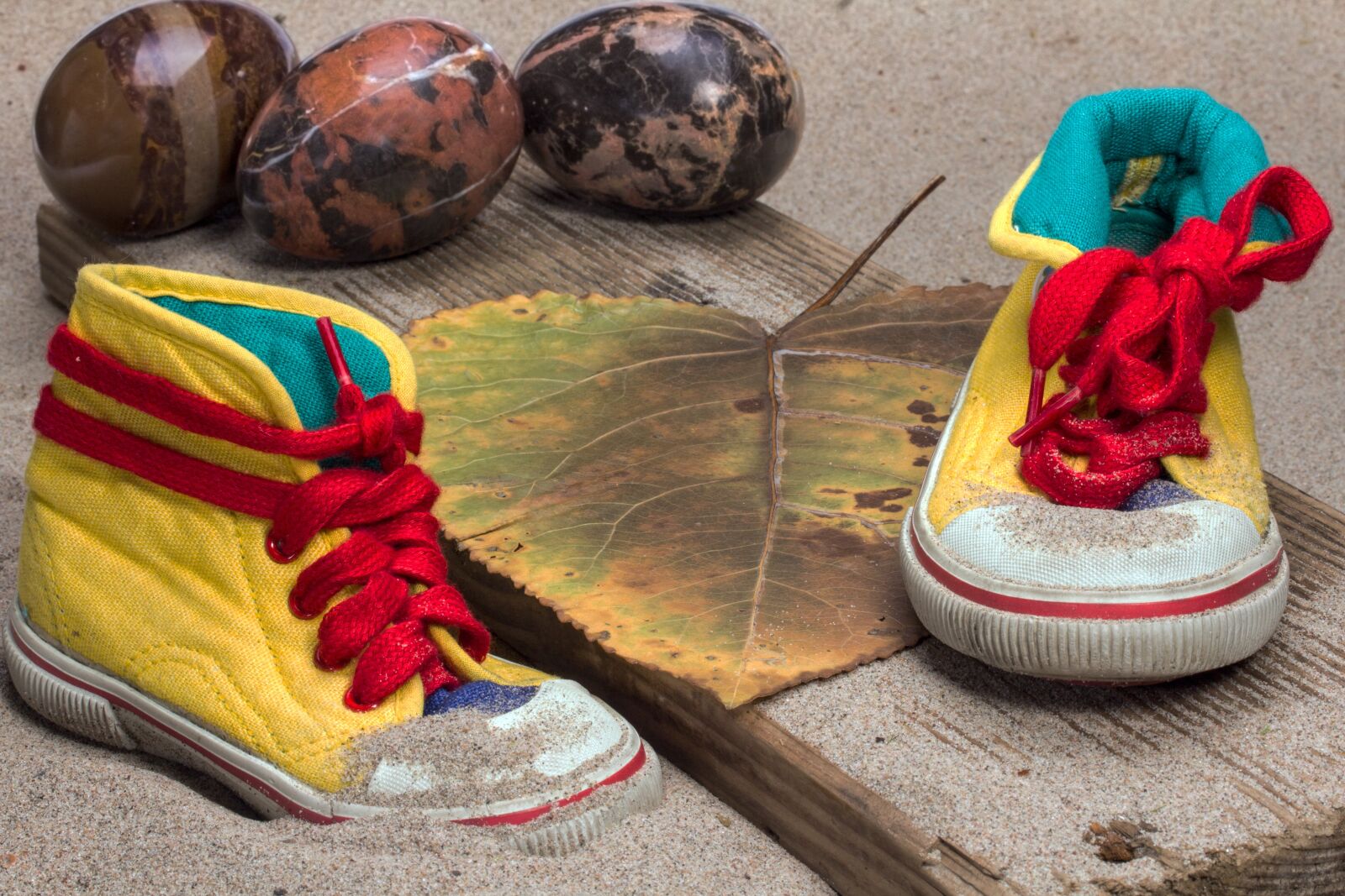 Canon EF-S 60mm F2.8 Macro USM sample photo. Shoes, children's shoes, sports photography
