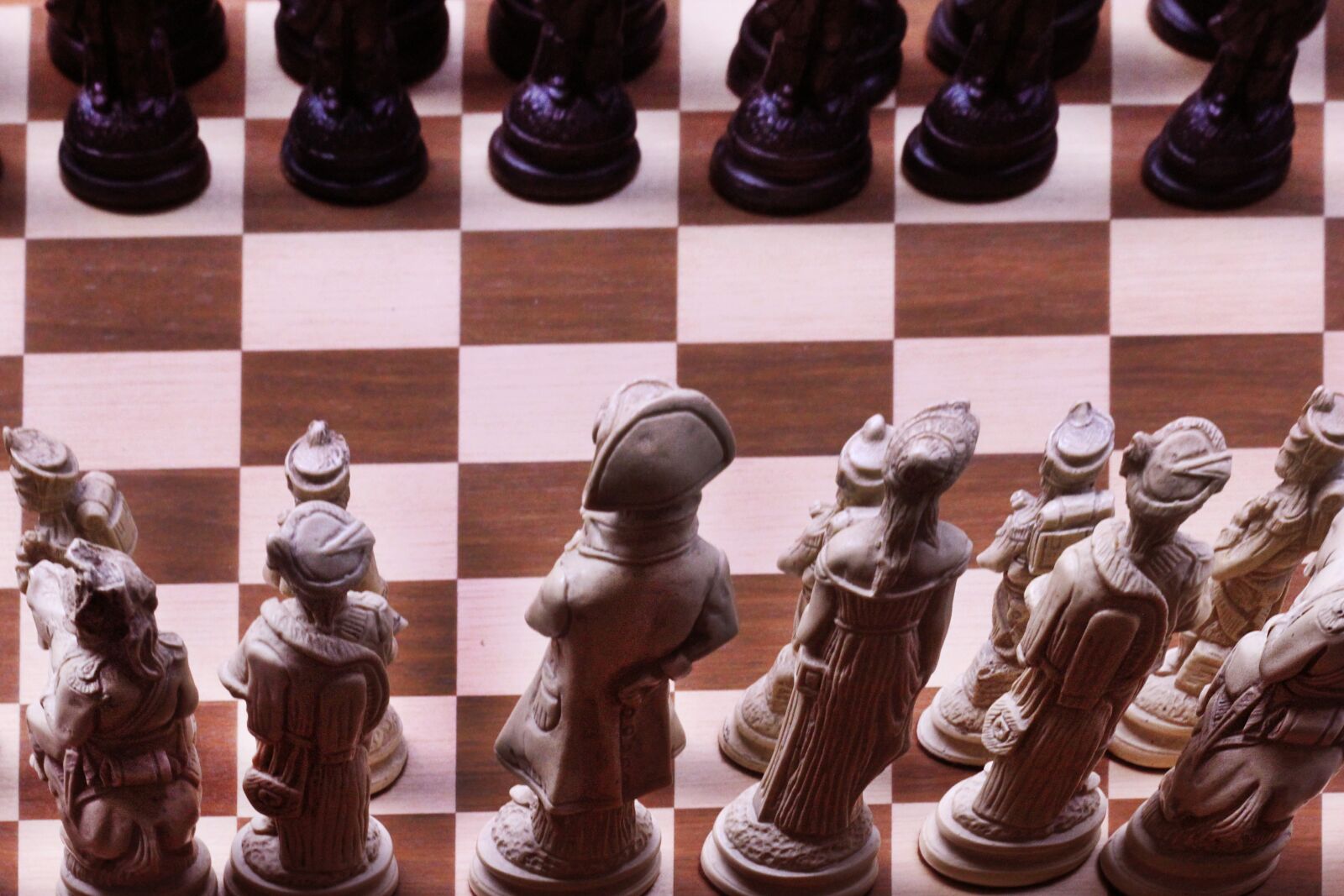 Canon EOS 550D (EOS Rebel T2i / EOS Kiss X4) sample photo. Chess, game, strategy photography