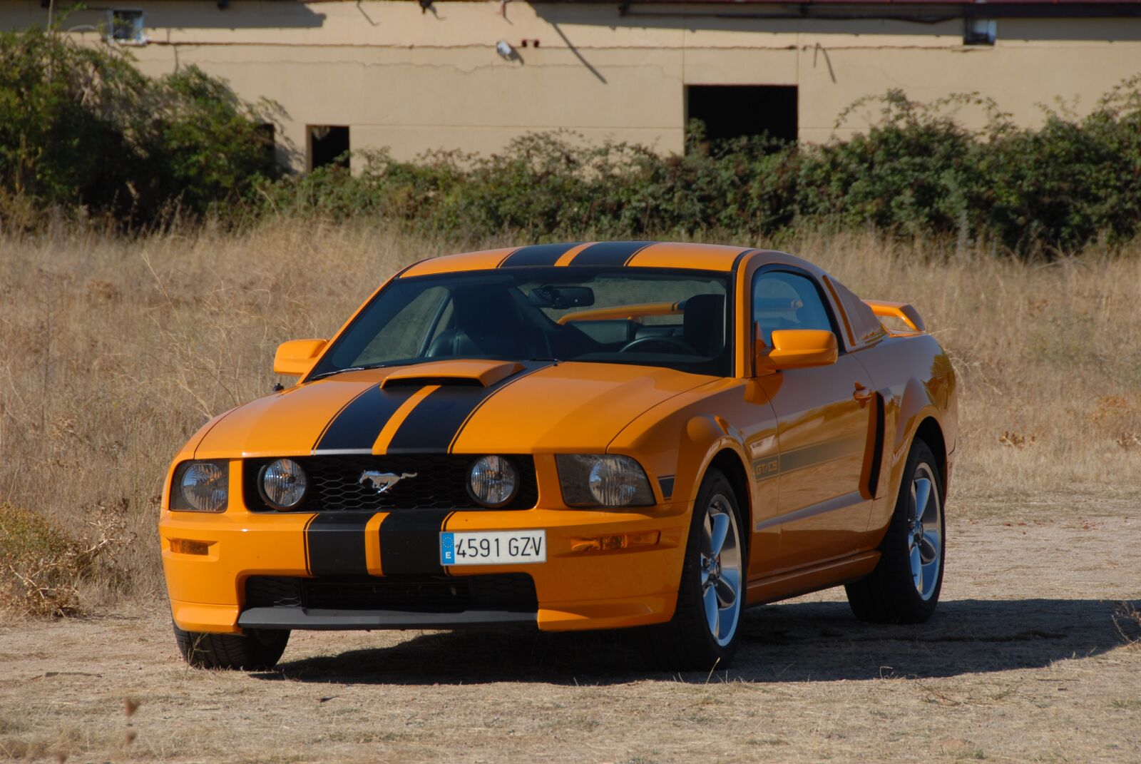 Nikon D200 sample photo. Car, mustang, vehicle photography