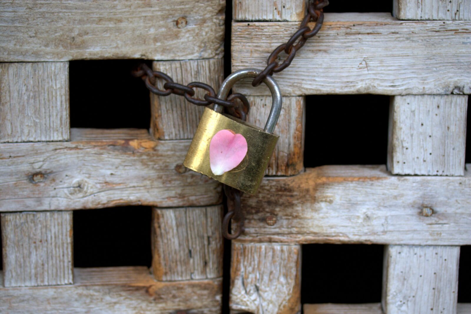 Canon EF-S 60mm F2.8 Macro USM sample photo. Padlock, love, heart photography