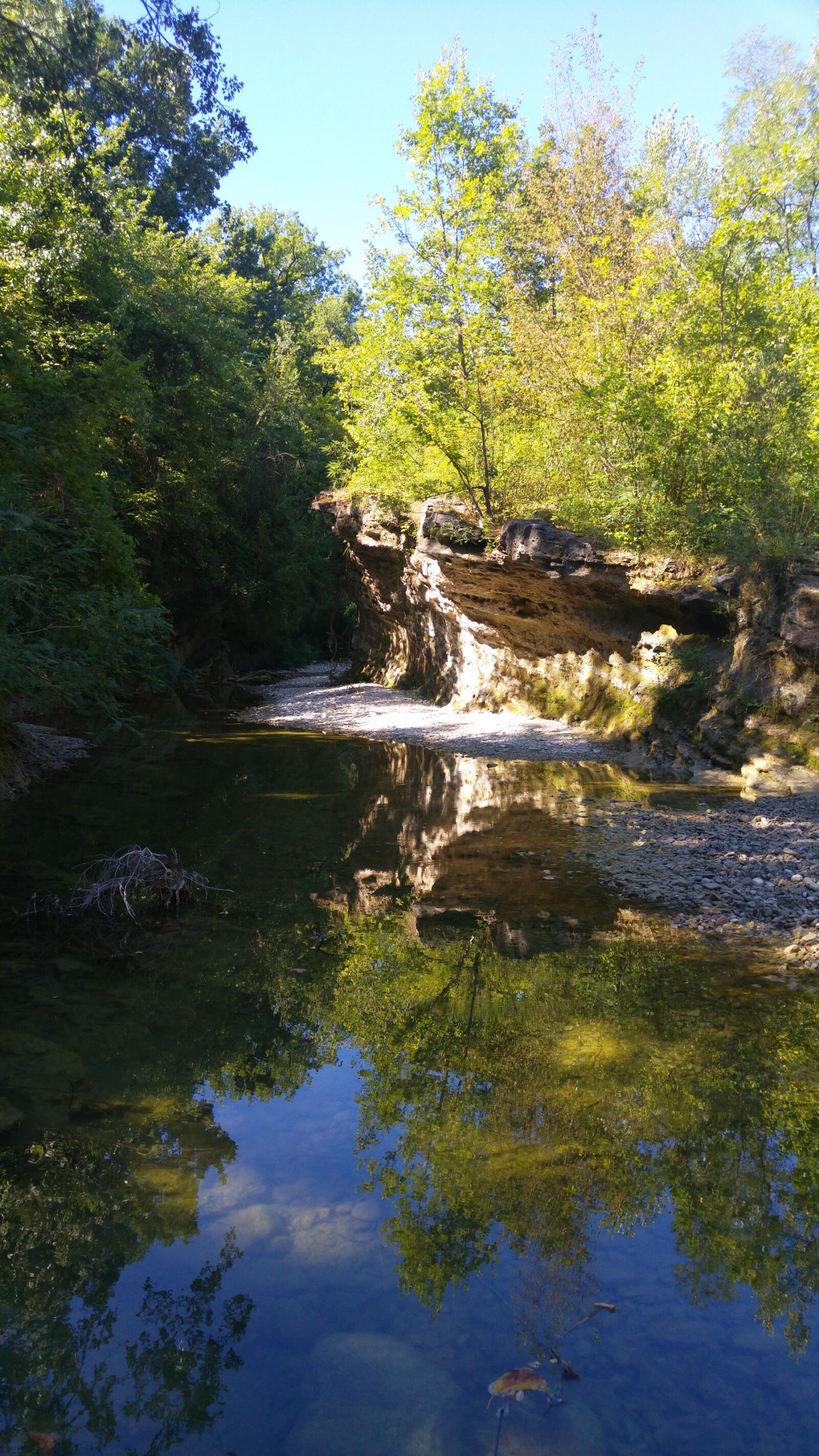 LG G4 sample photo. River, green, nature photography
