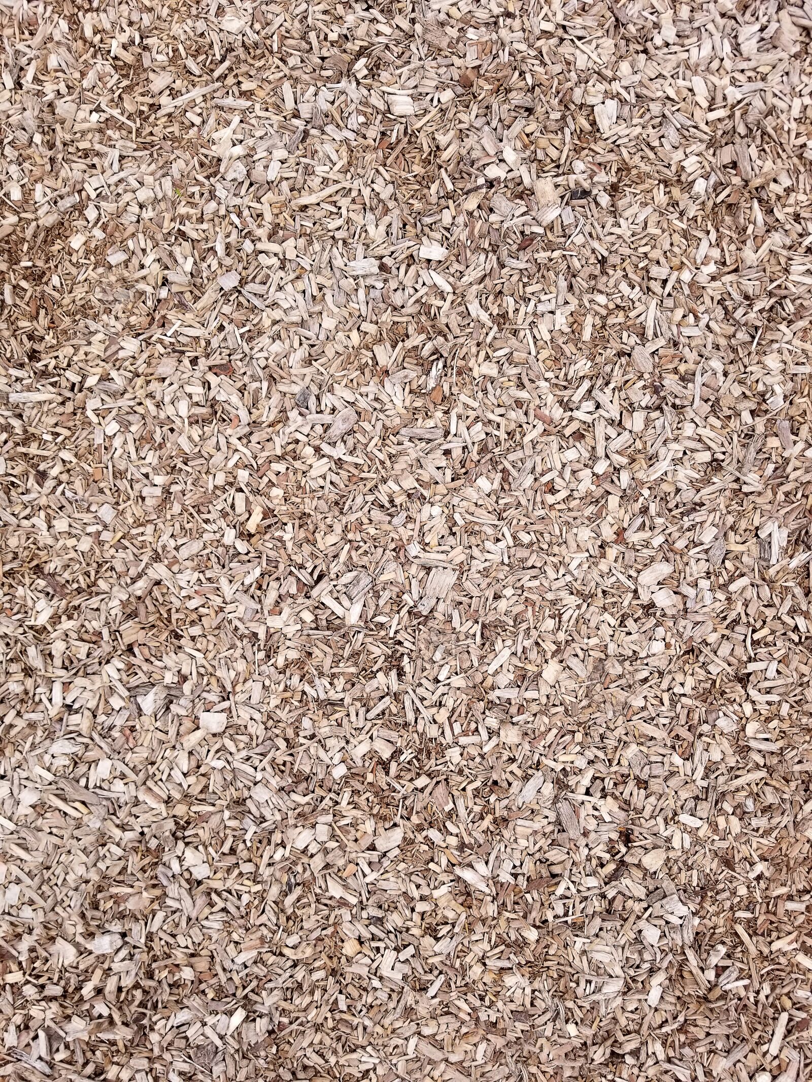 Samsung Galaxy S8 sample photo. Texture, wood chips, wood photography