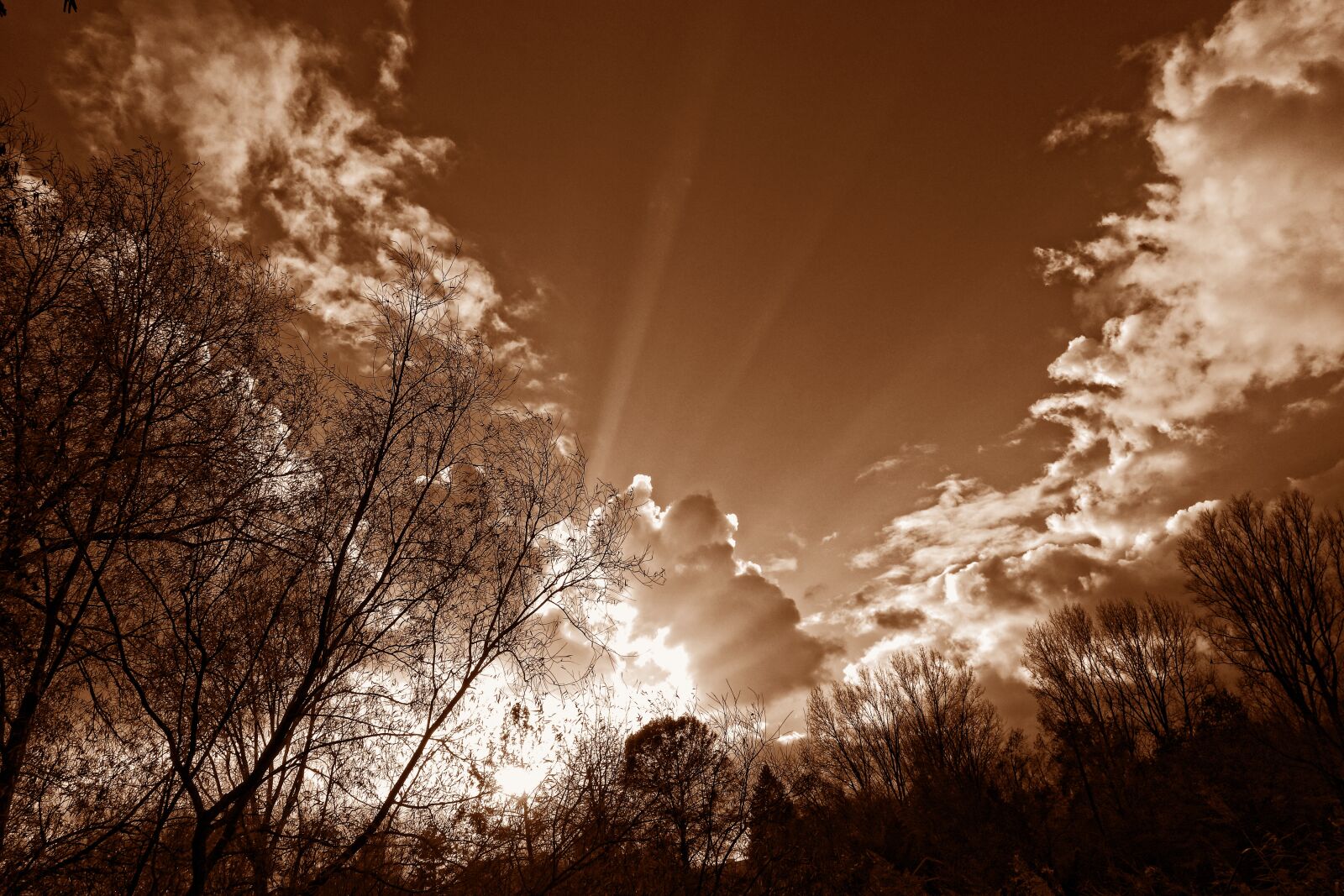Sony Cyber-shot DSC-RX100 sample photo. Sky, clouds, cumulus photography