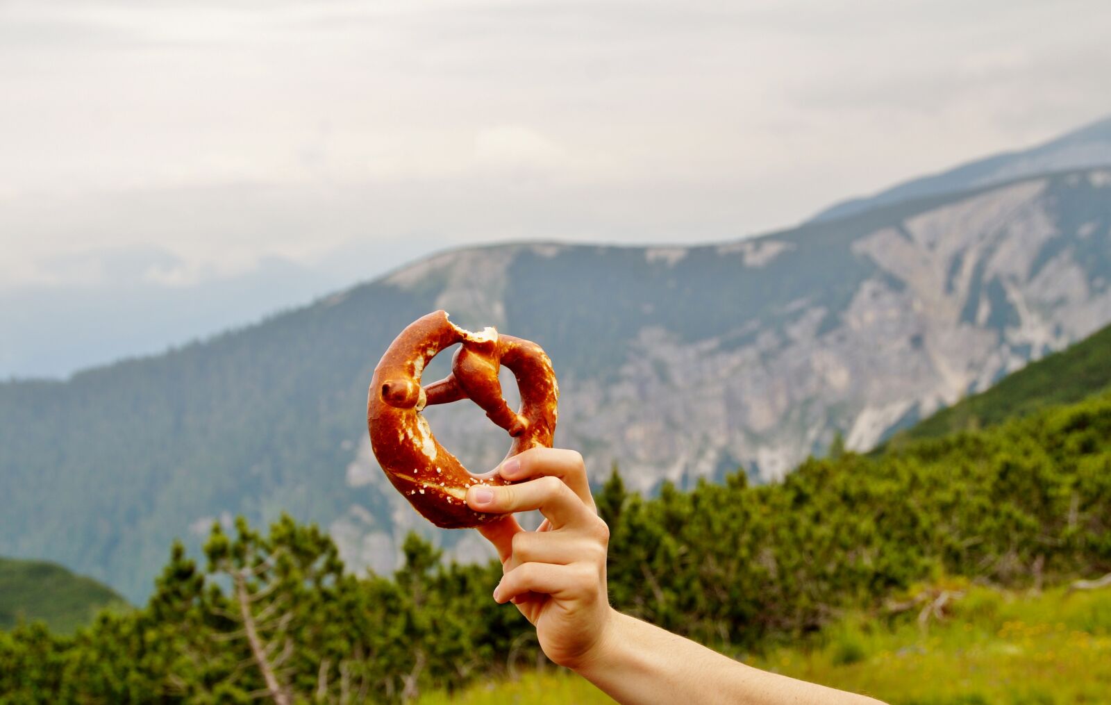 Sony SLT-A58 sample photo. Alps, pretzel, traditional photography