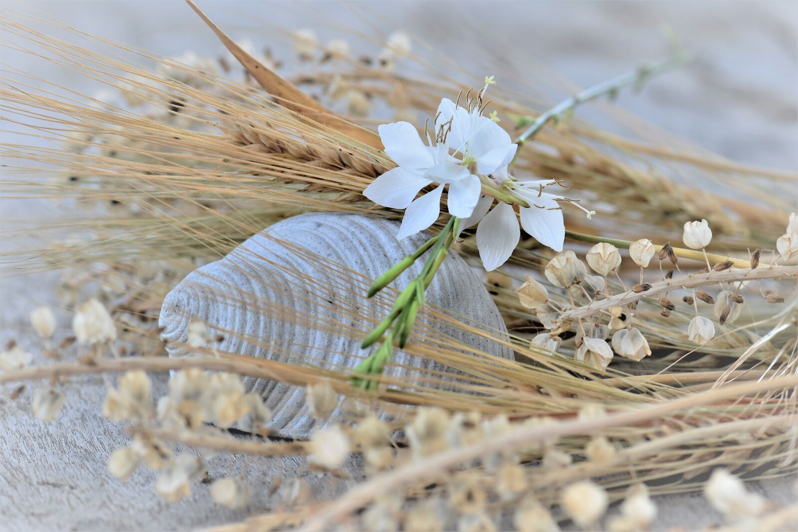 Nikon D5500 sample photo. Deco, table decorations, decoration photography
