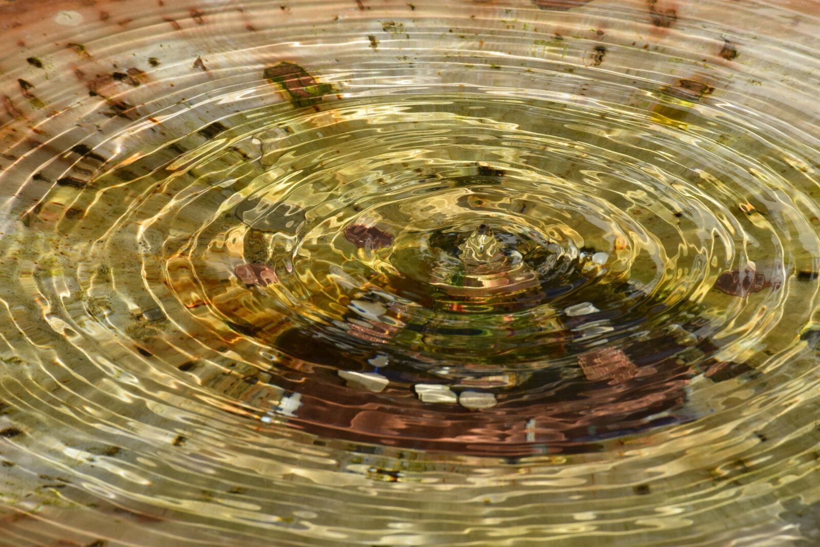 Nikon D5300 sample photo. Fountain, wave, water photography