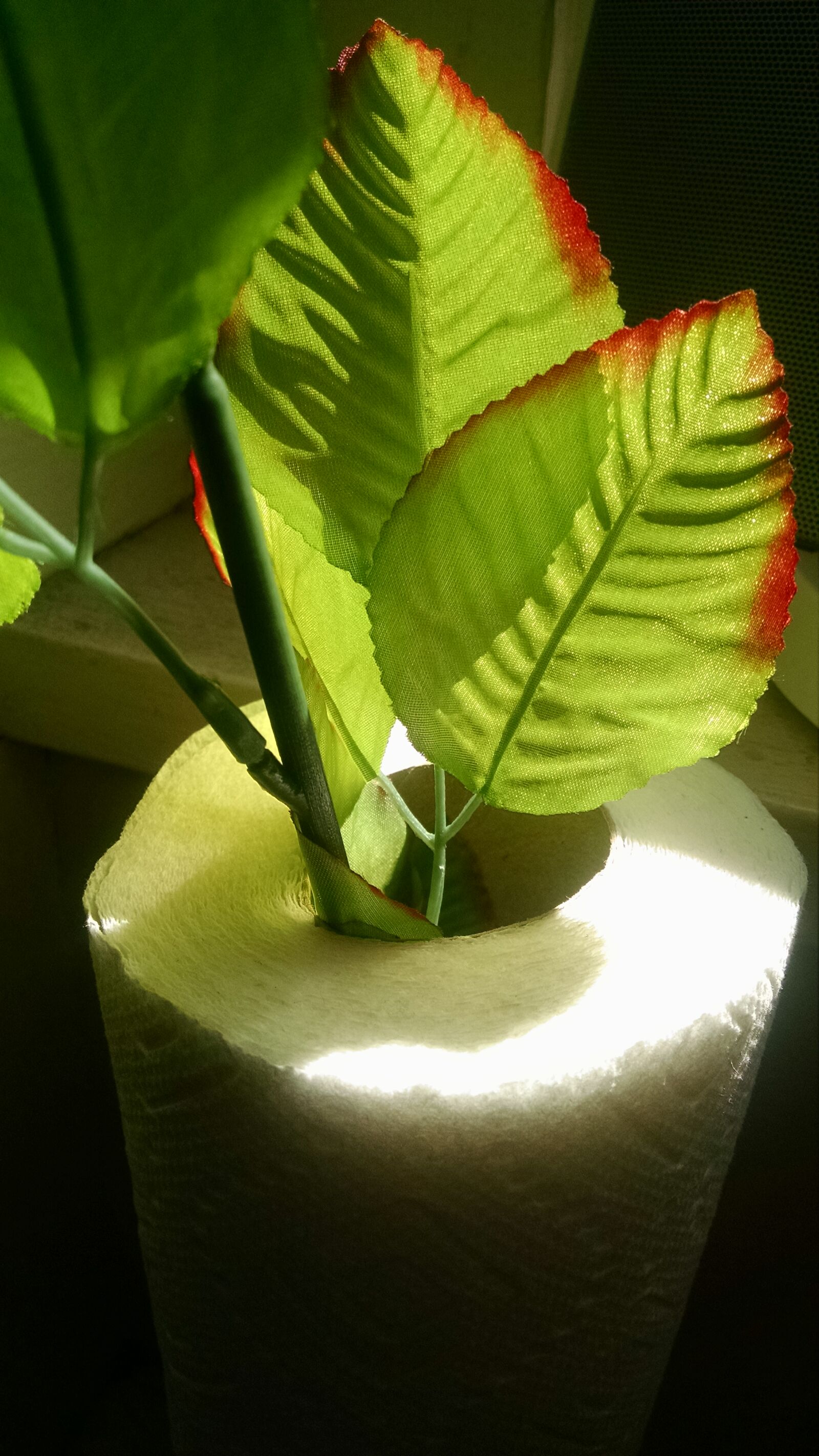 Motorola Moto X (1st Gen) sample photo. Candy, chocolate, flower, spring photography