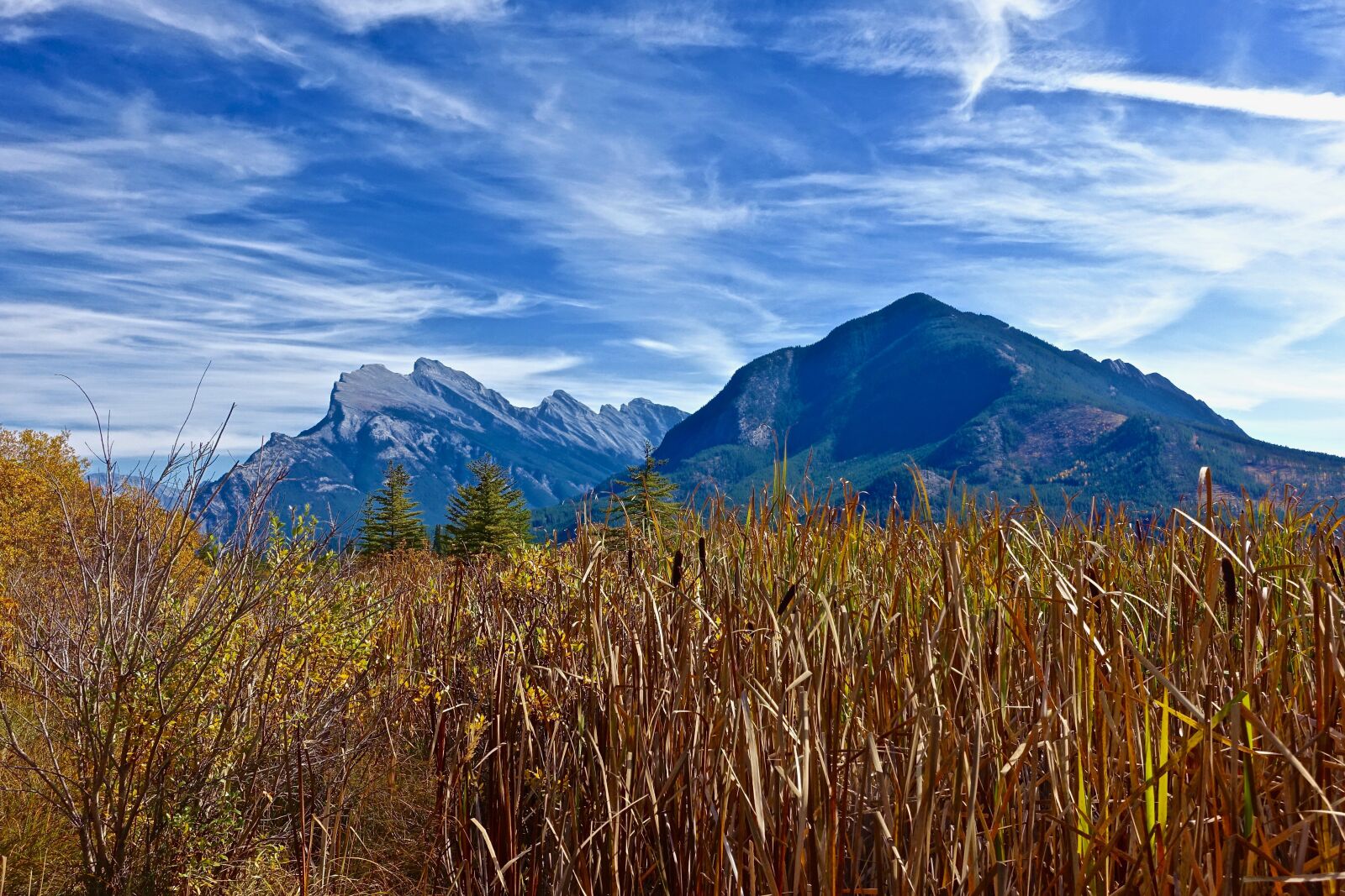 Sony Cyber-shot DSC-RX100 III sample photo. Grass, mountains, nature photography