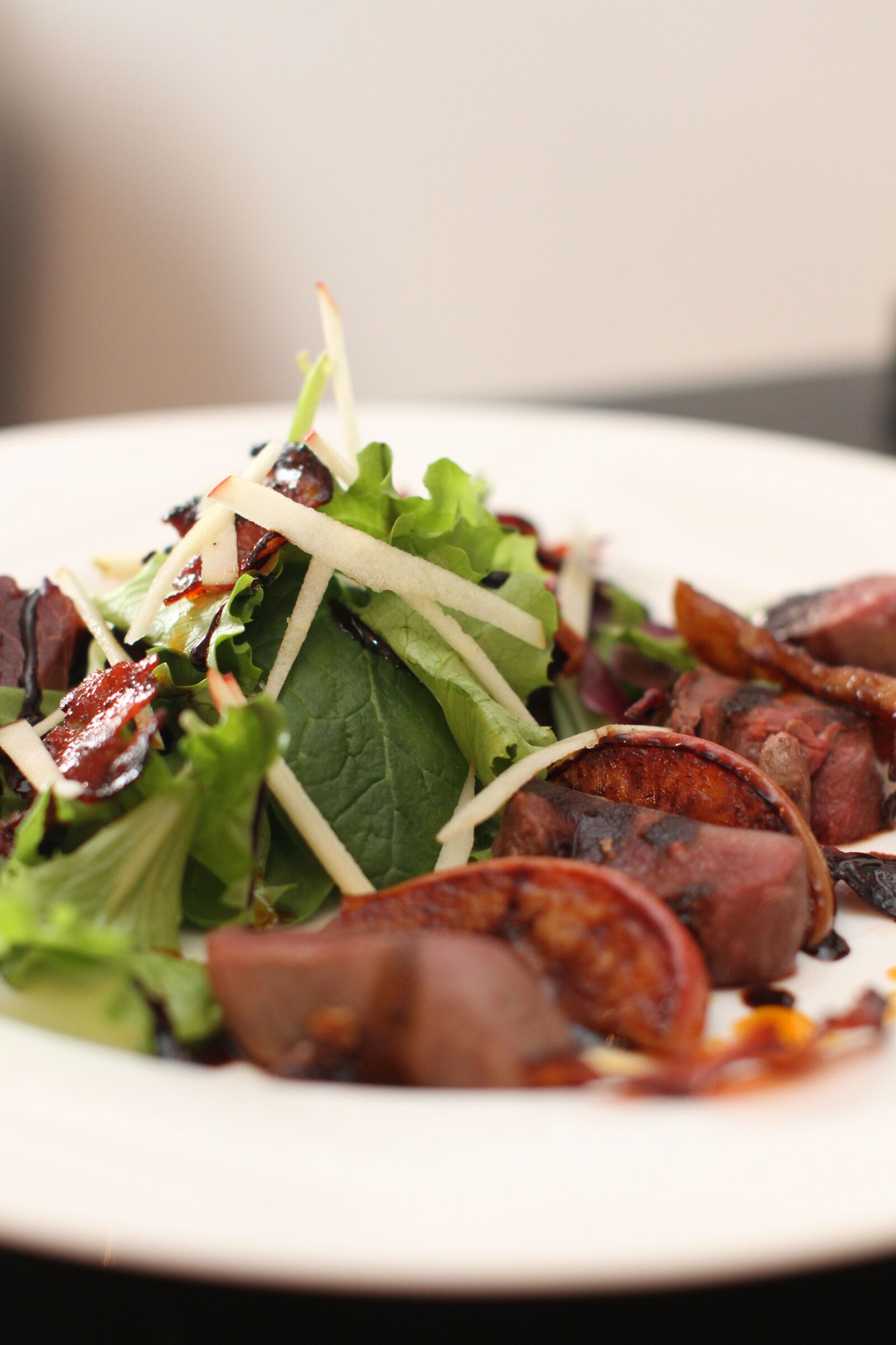 Canon EOS 7D sample photo. Meat, salad, apples photography