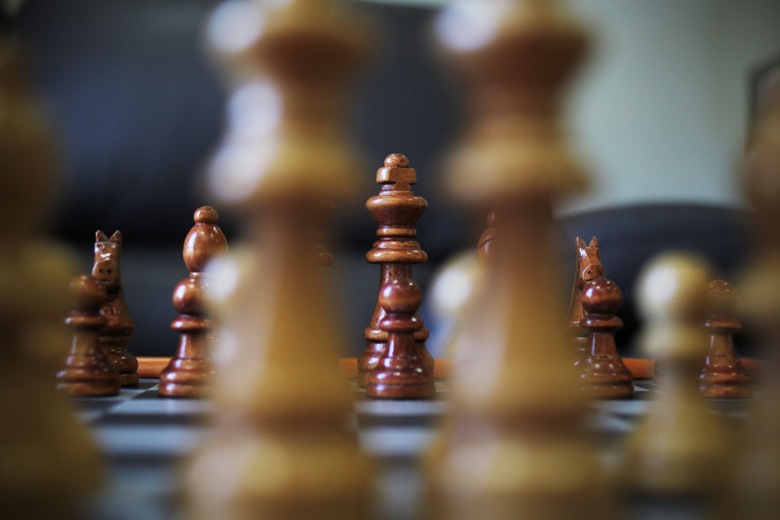 Canon EF 28mm F2.8 sample photo. Game, king, horse, chess photography