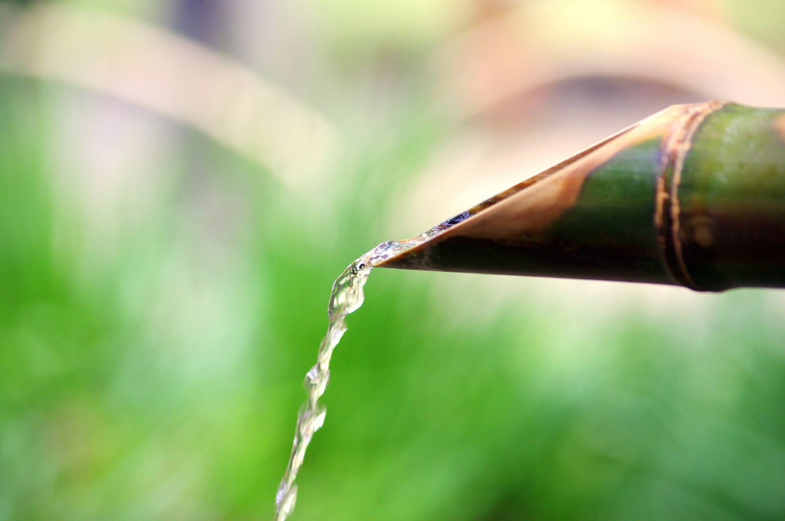 Pentax K-x sample photo. Summer, water, japan photography