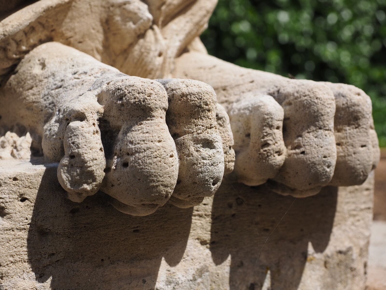 Olympus OM-D E-M1 + Olympus M.Zuiko Digital ED 12-40mm F2.8 Pro sample photo. Lions feet, feet, claw photography