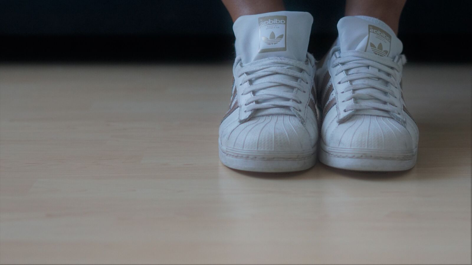 Sony FE 50mm F1.8 sample photo. Background, sports shoes, favorite photography