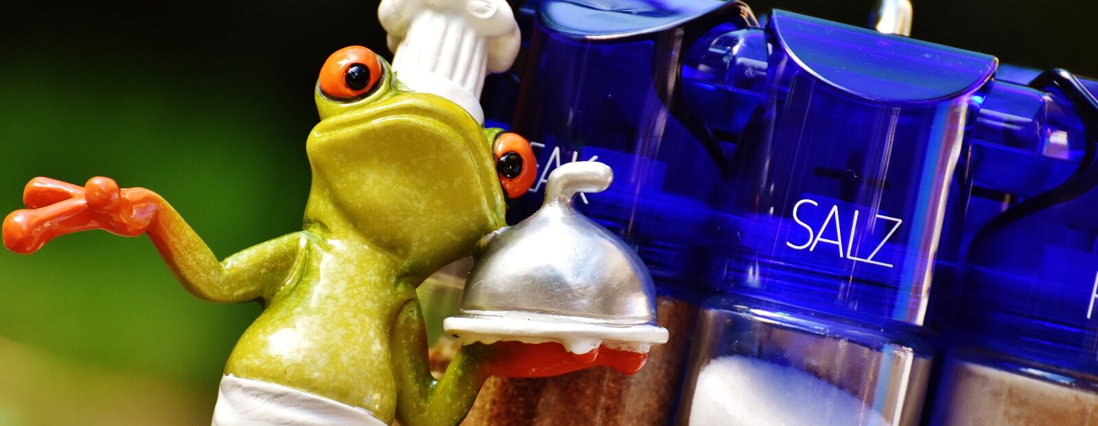 Nikon D7200 sample photo. Frog, cooking, spices photography