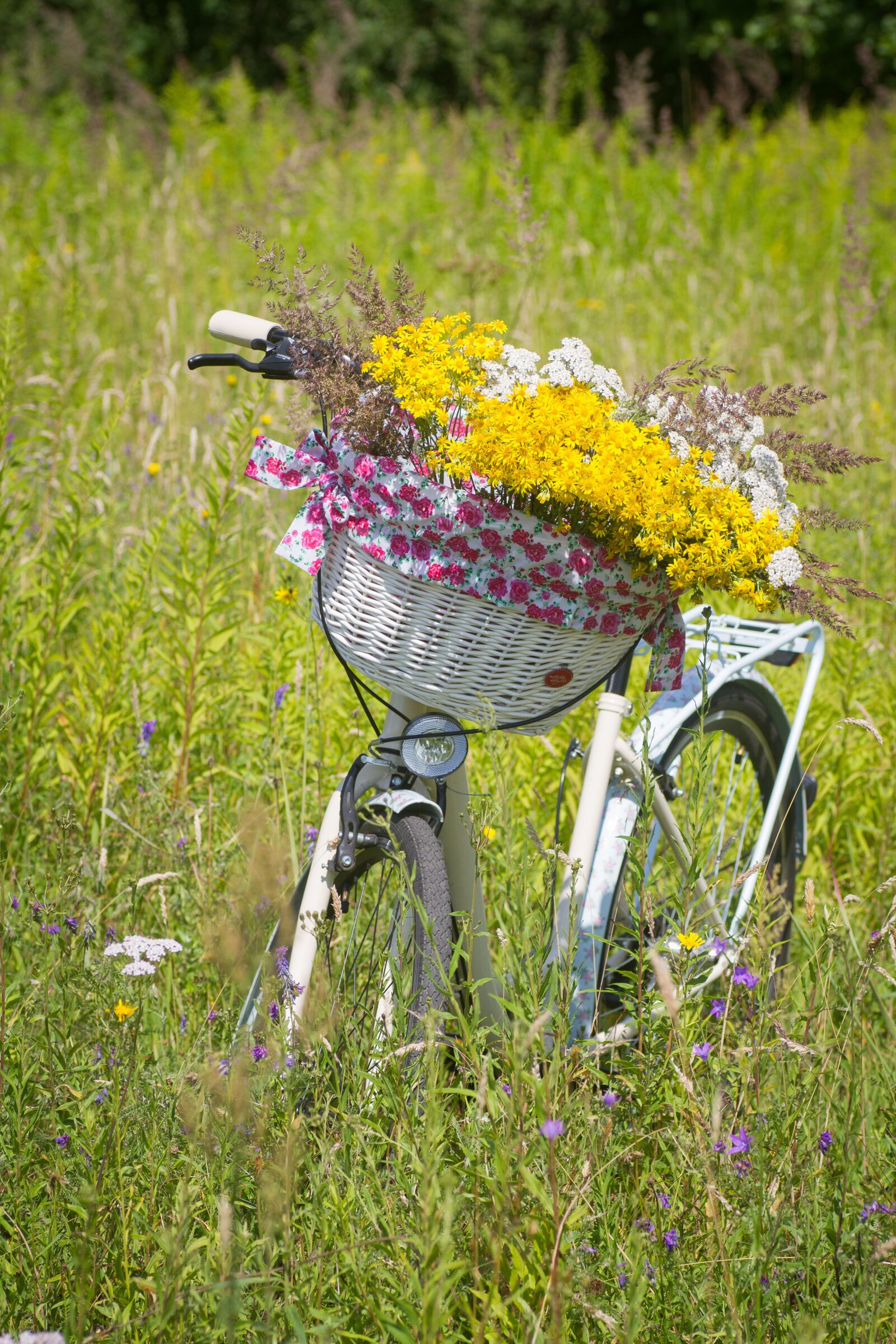 Tamron SP 90mm F2.8 Di VC USD 1:1 Macro sample photo. Bicycle, summer, basket photography