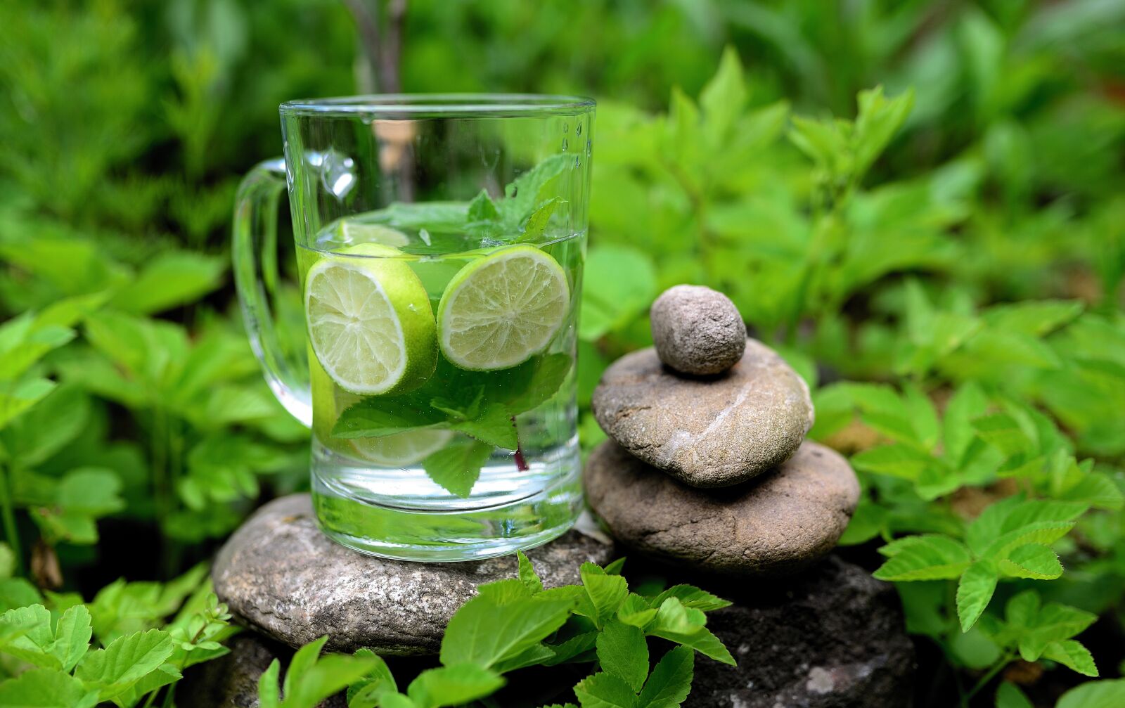 Nikon D610 sample photo. Mint, peppermint, detox photography