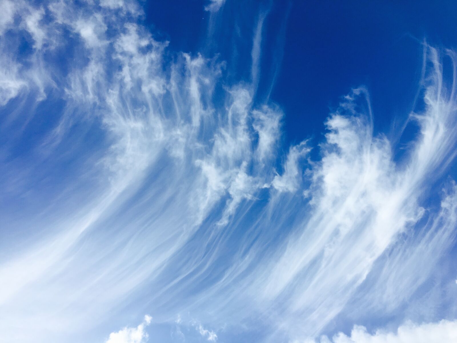 Apple iPhone 6s sample photo. Cirrus, clouds, blue photography
