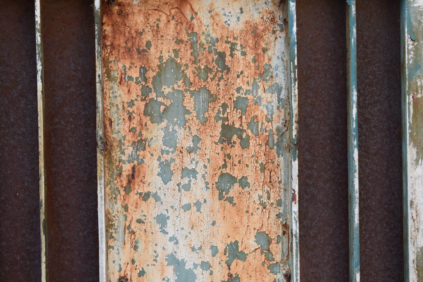 Nikon D5600 sample photo. Difference, rust, peeling paint photography