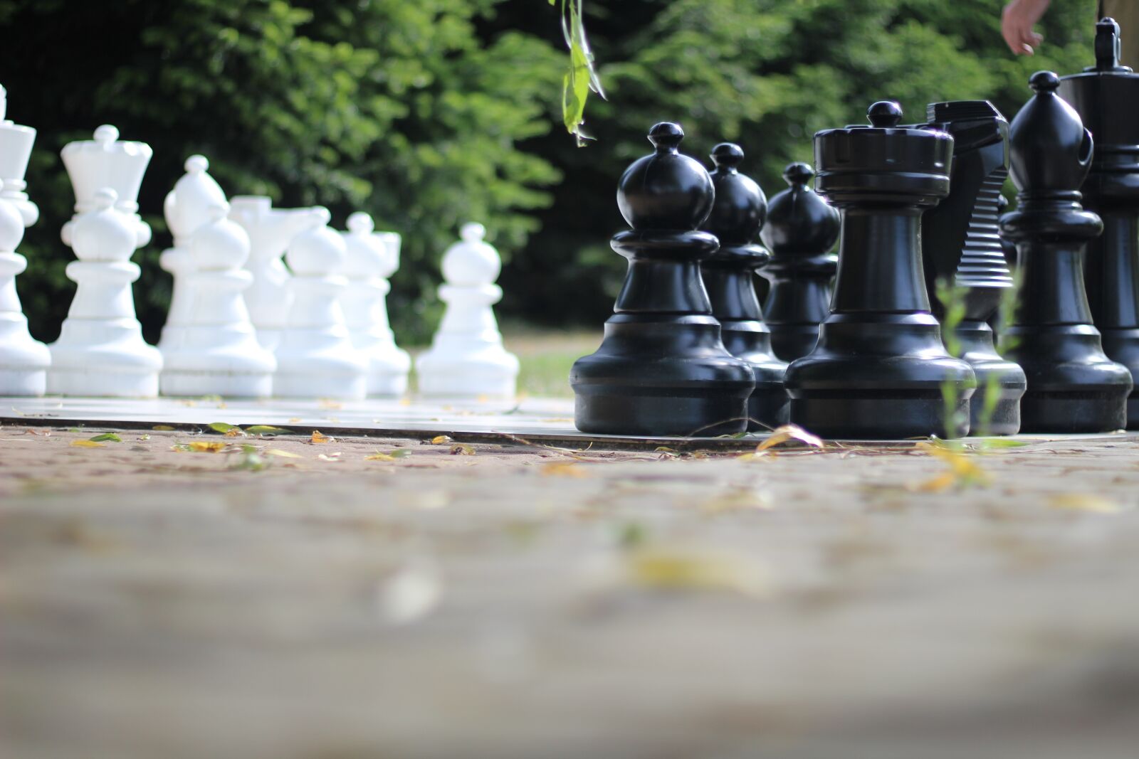 Canon EOS 1200D (EOS Rebel T5 / EOS Kiss X70 / EOS Hi) + Canon EF 50mm F1.8 STM sample photo. Chess, beginning, clean up photography