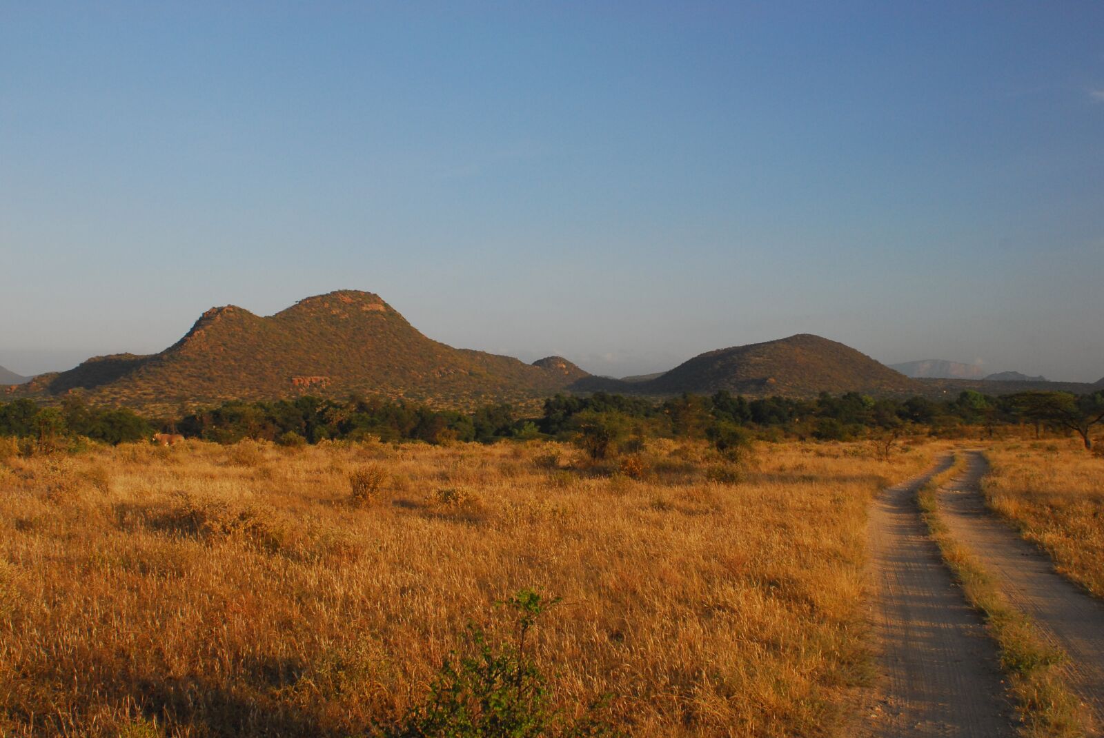 Nikon D200 sample photo. Samburu national park, kenya photography